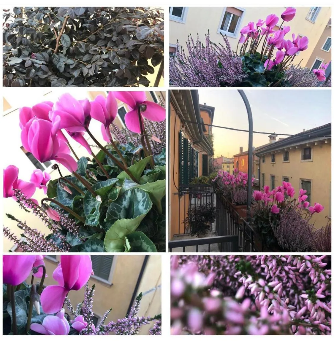 Property building in VeronAntica B&B