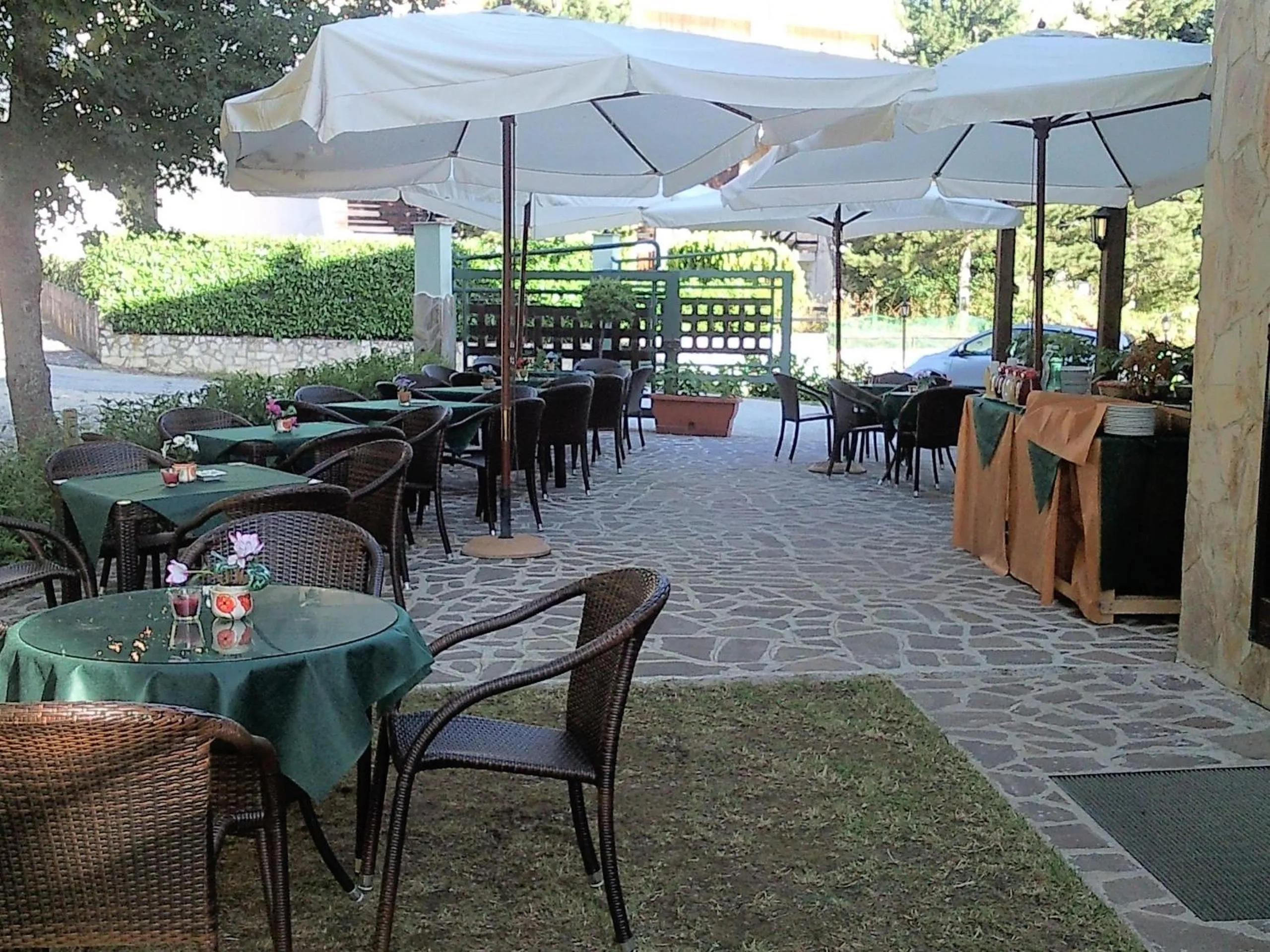 Garden in Hotel Alisma