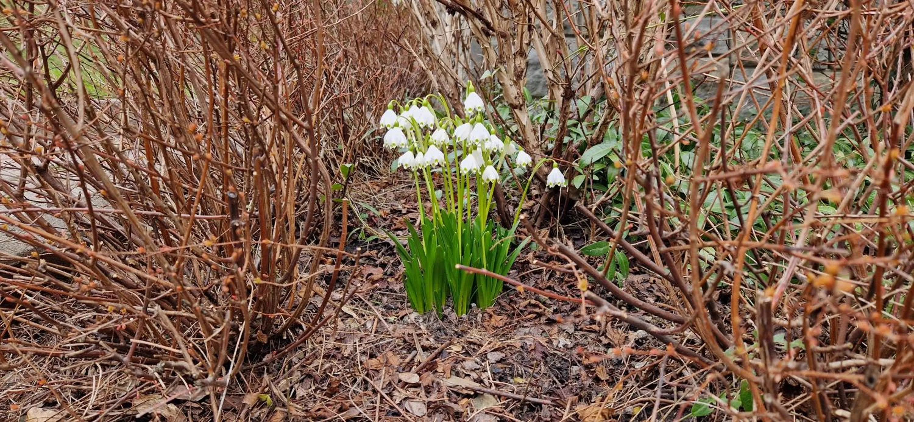 Off site in Wysoka noclegi ze śniadaniem