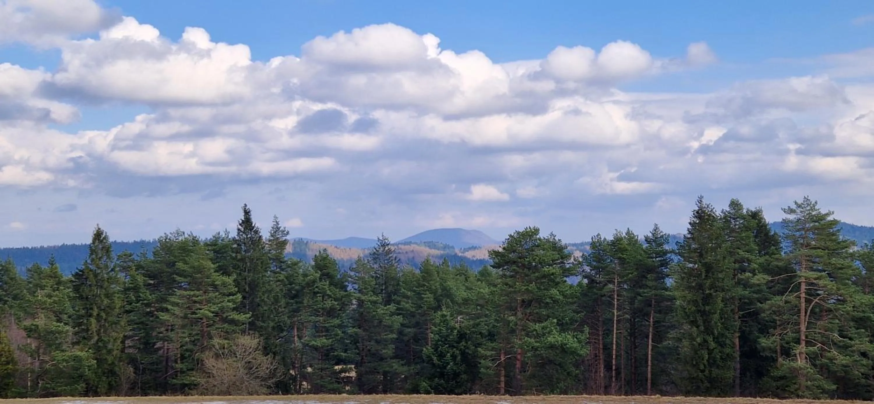 Spring in Wysoka noclegi ze śniadaniem