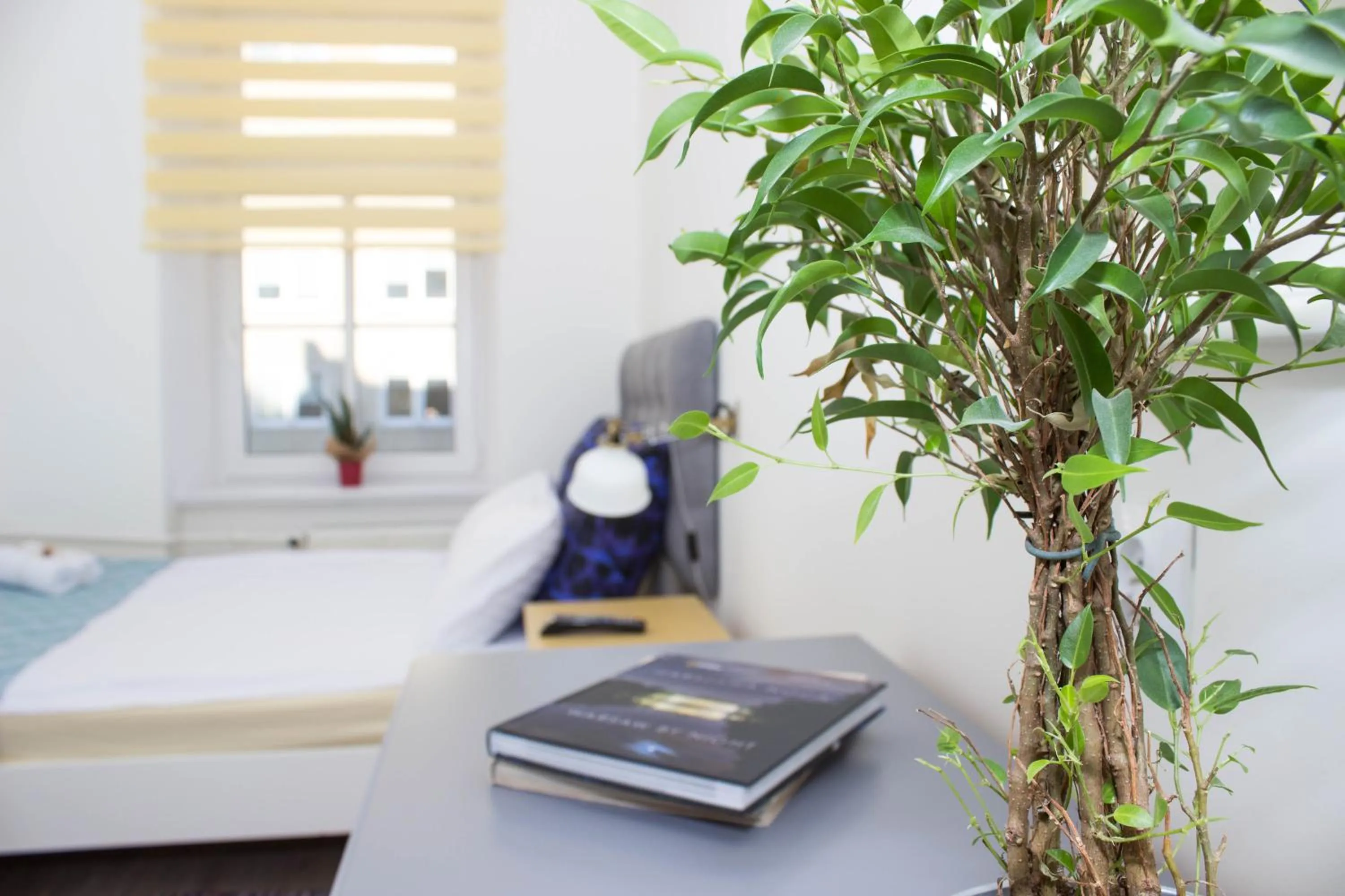 Photo of the whole room, Bed in Chillout Hostel
