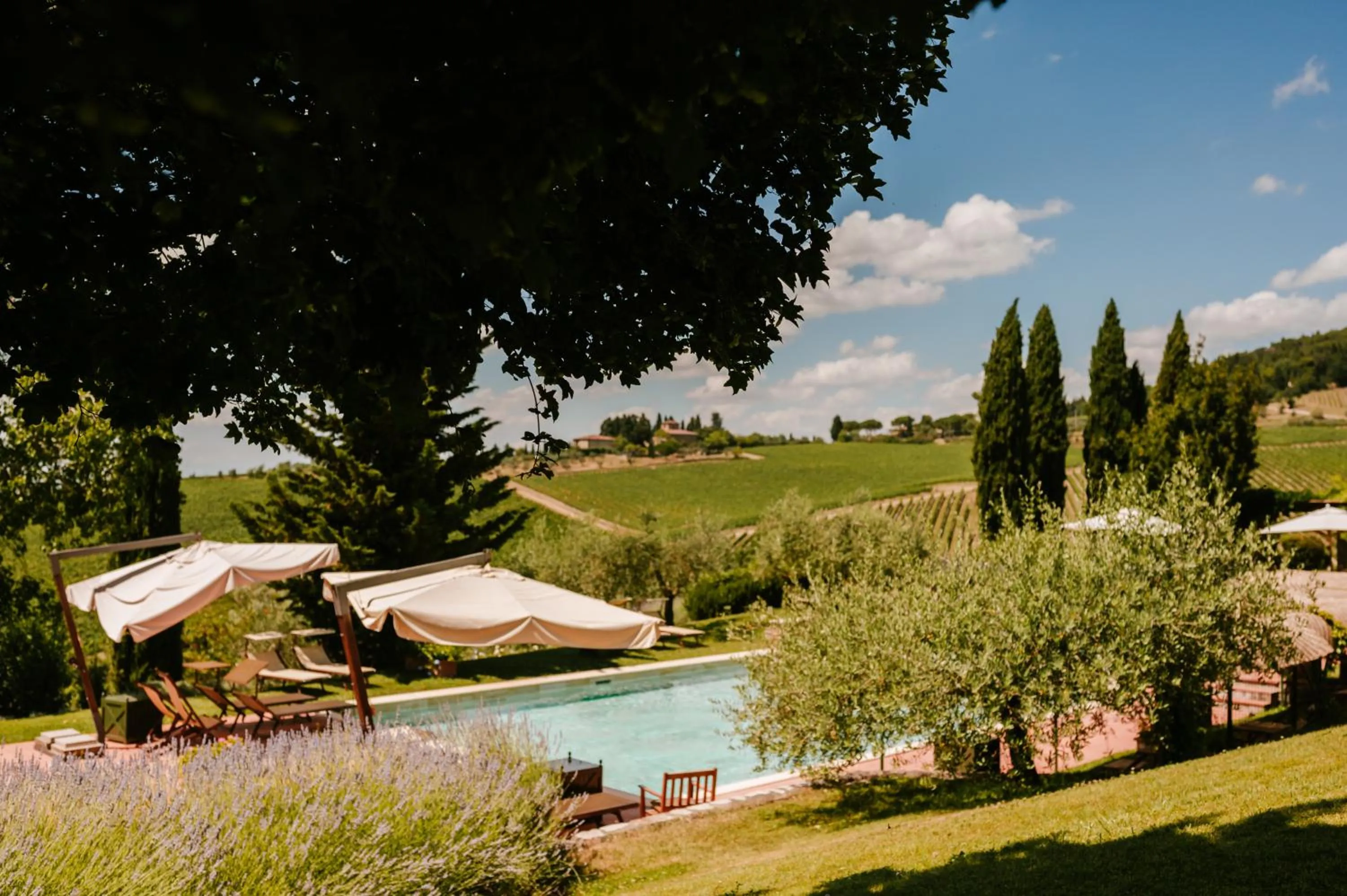 Garden in Fonte De' Medici