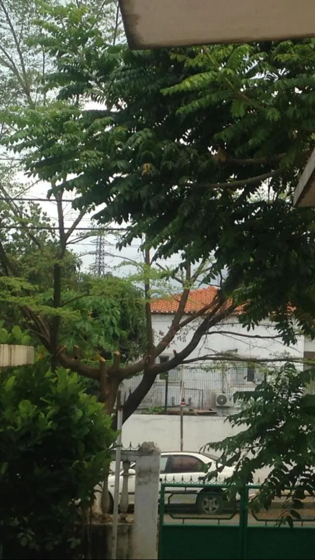 Garden view in Casa de Ferias