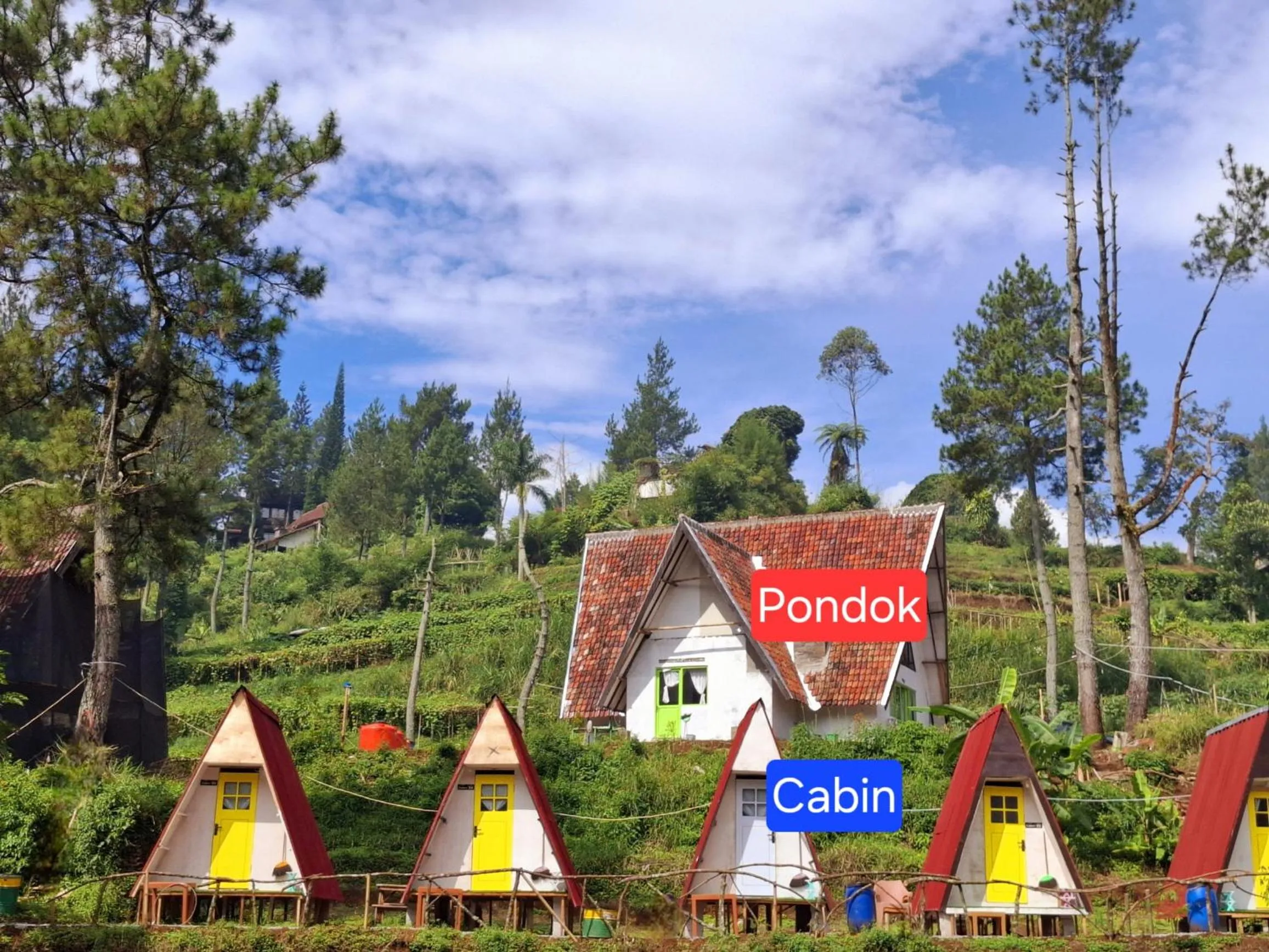 Property building in Ciwidey Jungle Camp & Villa