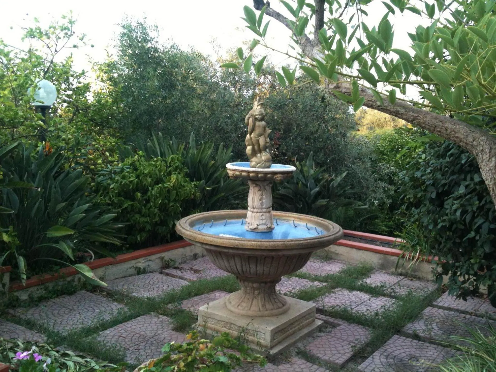 Garden in Stanza in Villa con giardino vista mare