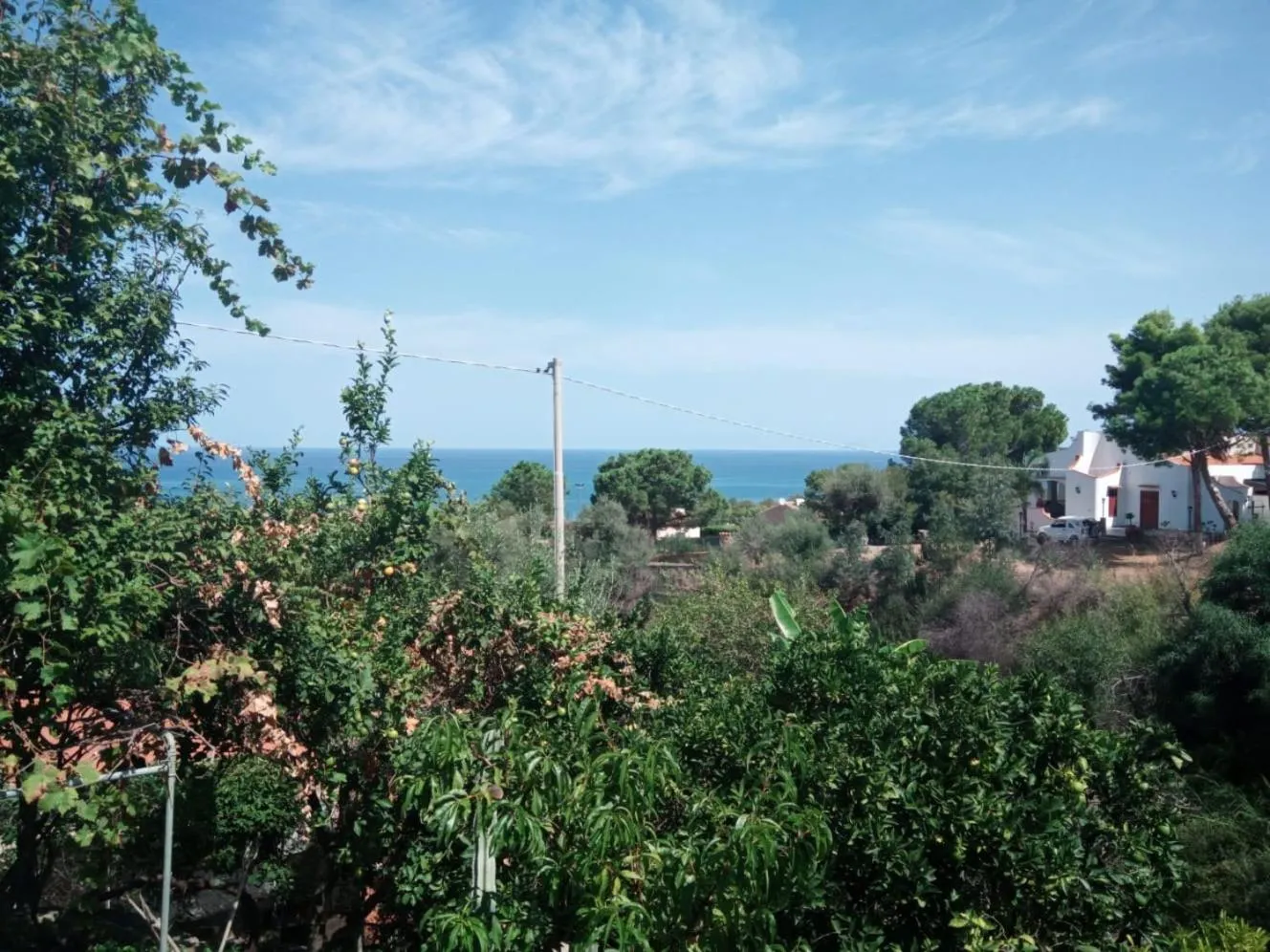 Natural landscape in Stanza in Villa con giardino vista mare