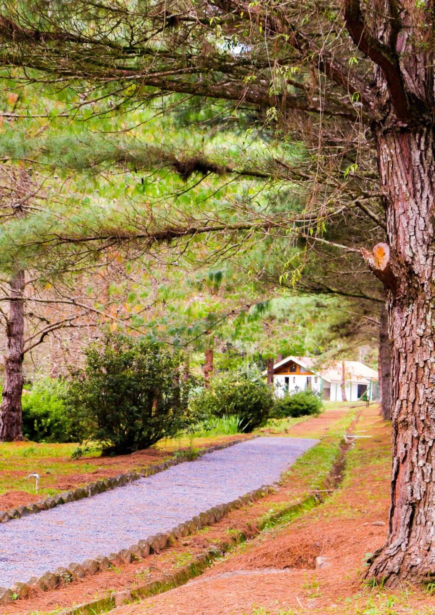 Garden in Pousada O Cantinho da Raposa
