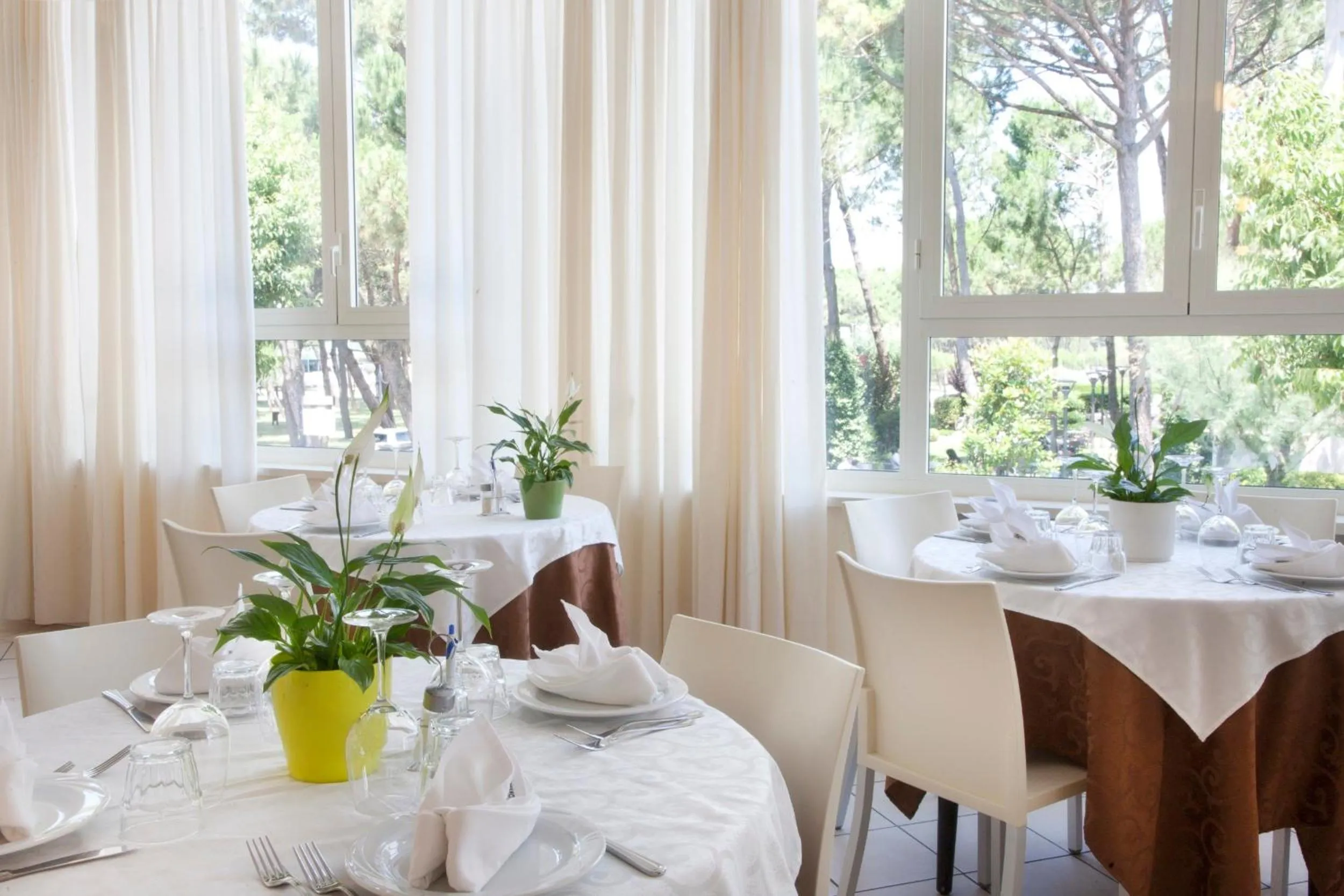 Restaurant/places to eat in Hotel Ridolfi