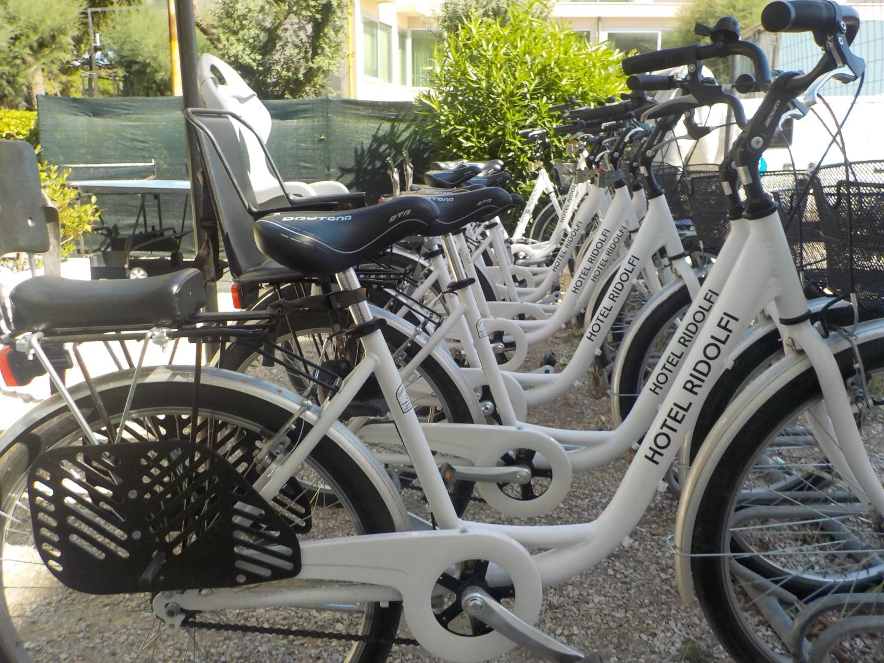 Activities in Hotel Ridolfi