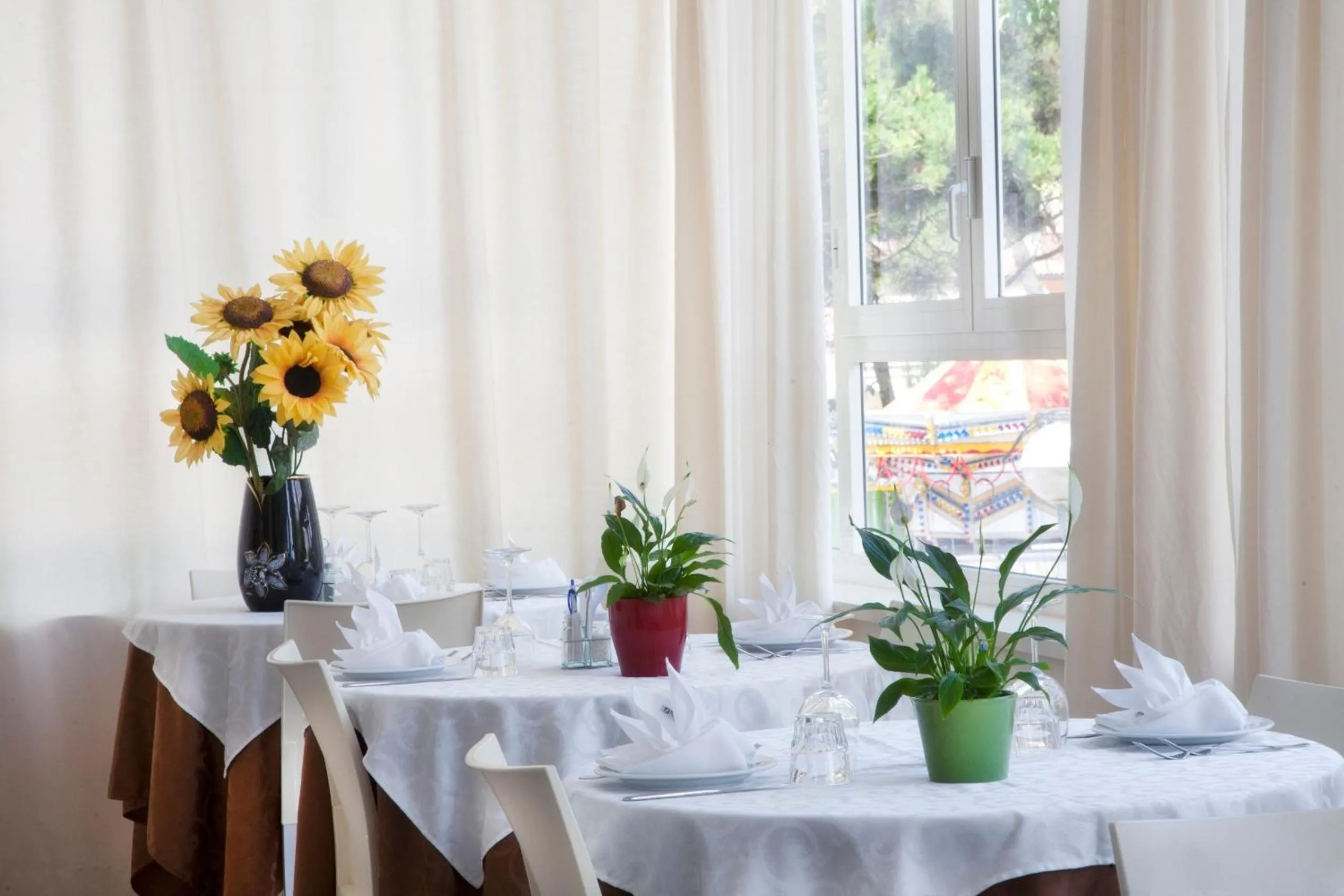 Restaurant/places to eat in Hotel Ridolfi