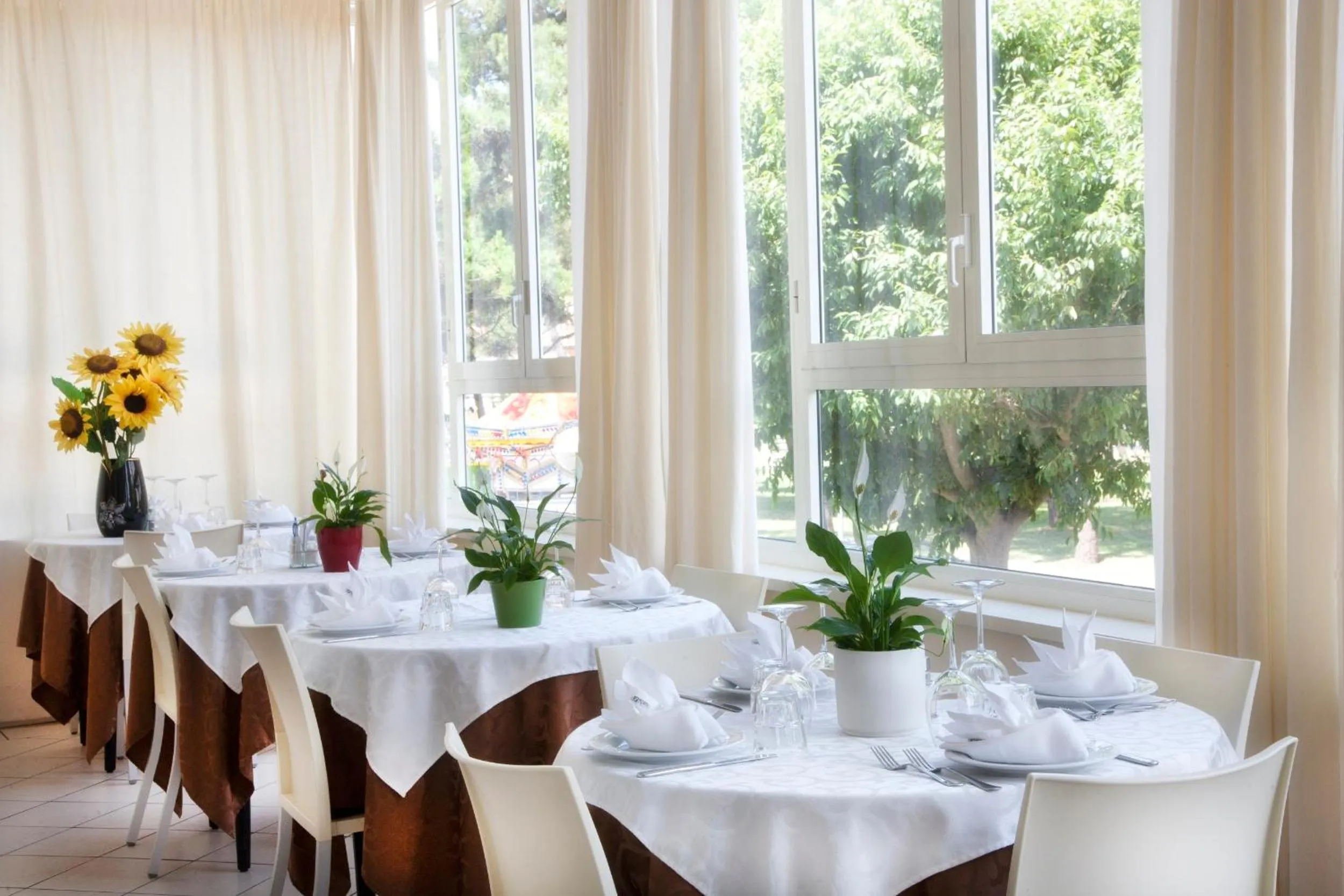 Restaurant/places to eat in Hotel Ridolfi