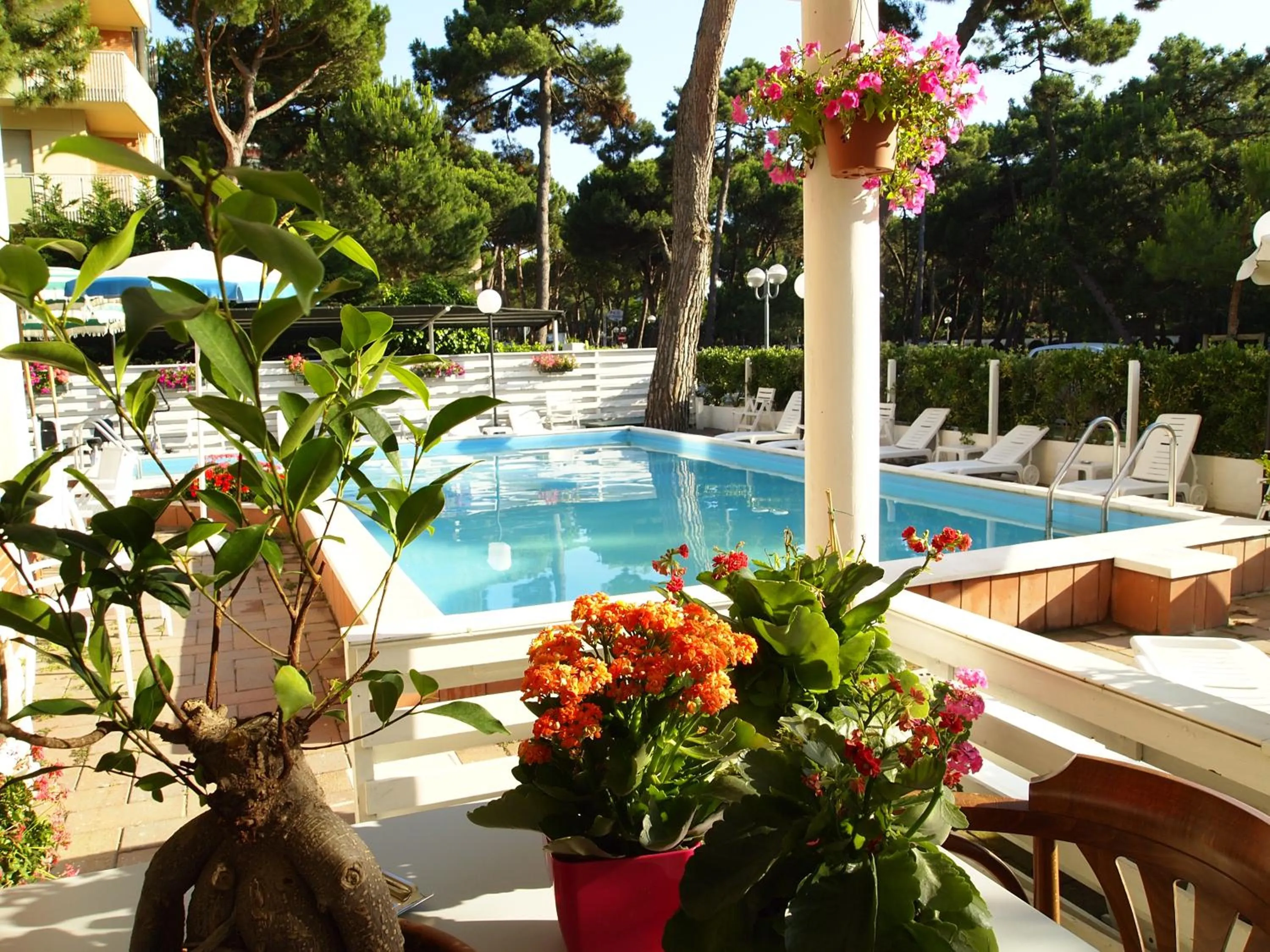 Swimming pool in Hotel Ridolfi