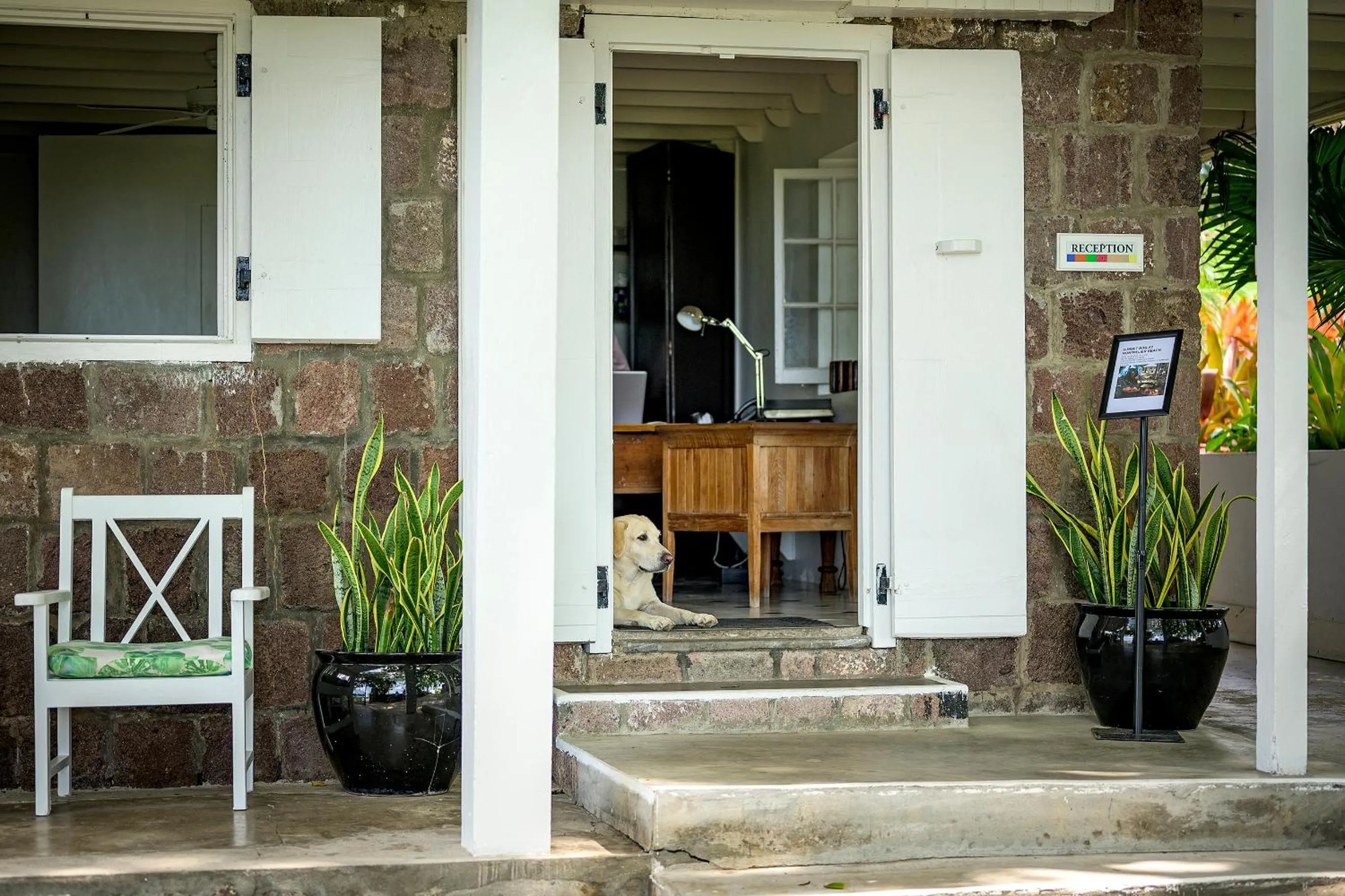 Property building in Montpelier Nevis