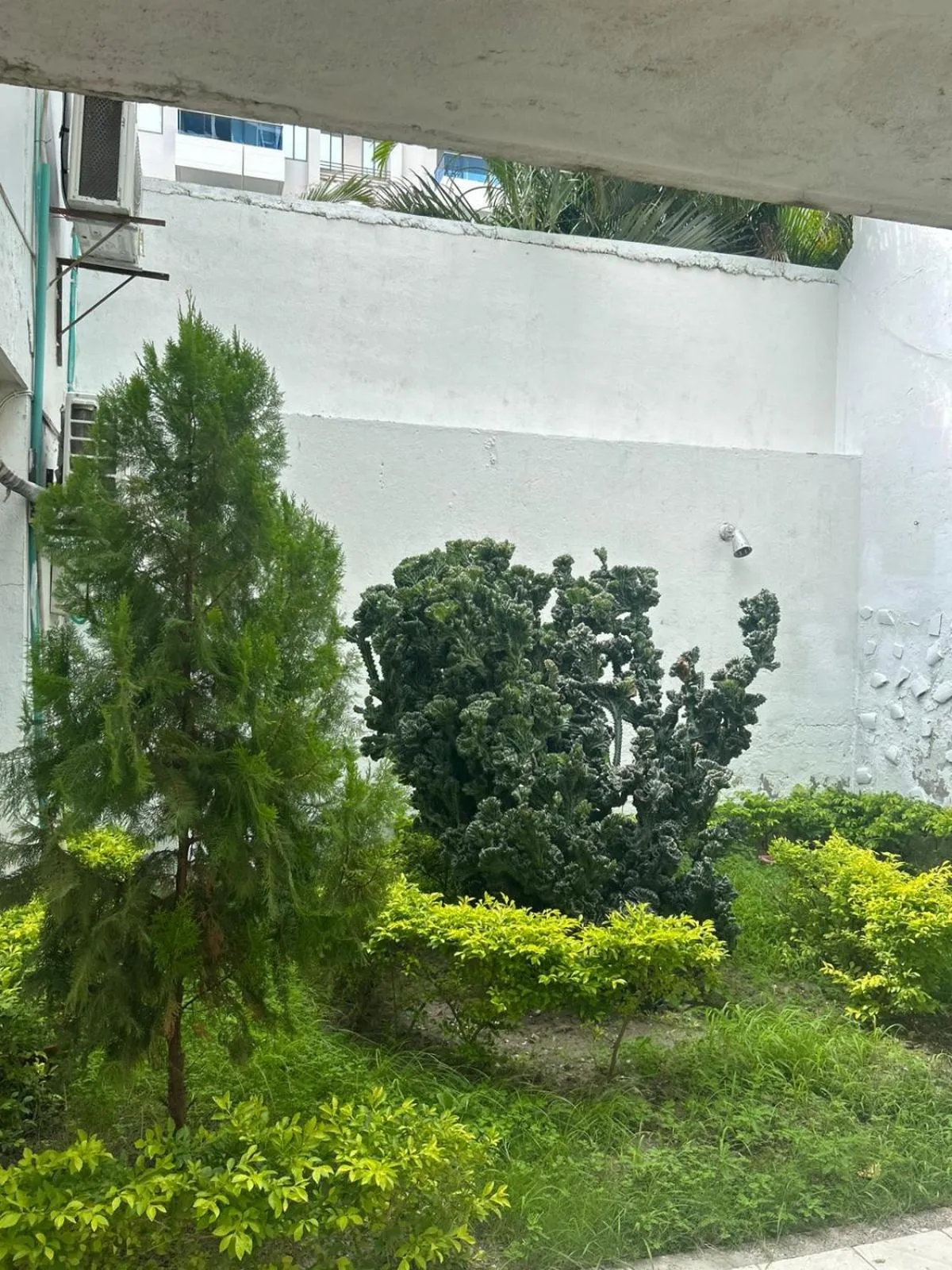 Garden in Hotel Los Veleros Santa Marta