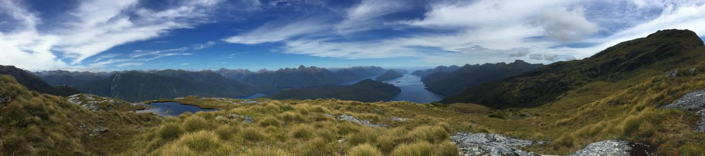 Natural landscape in Shakespeare House