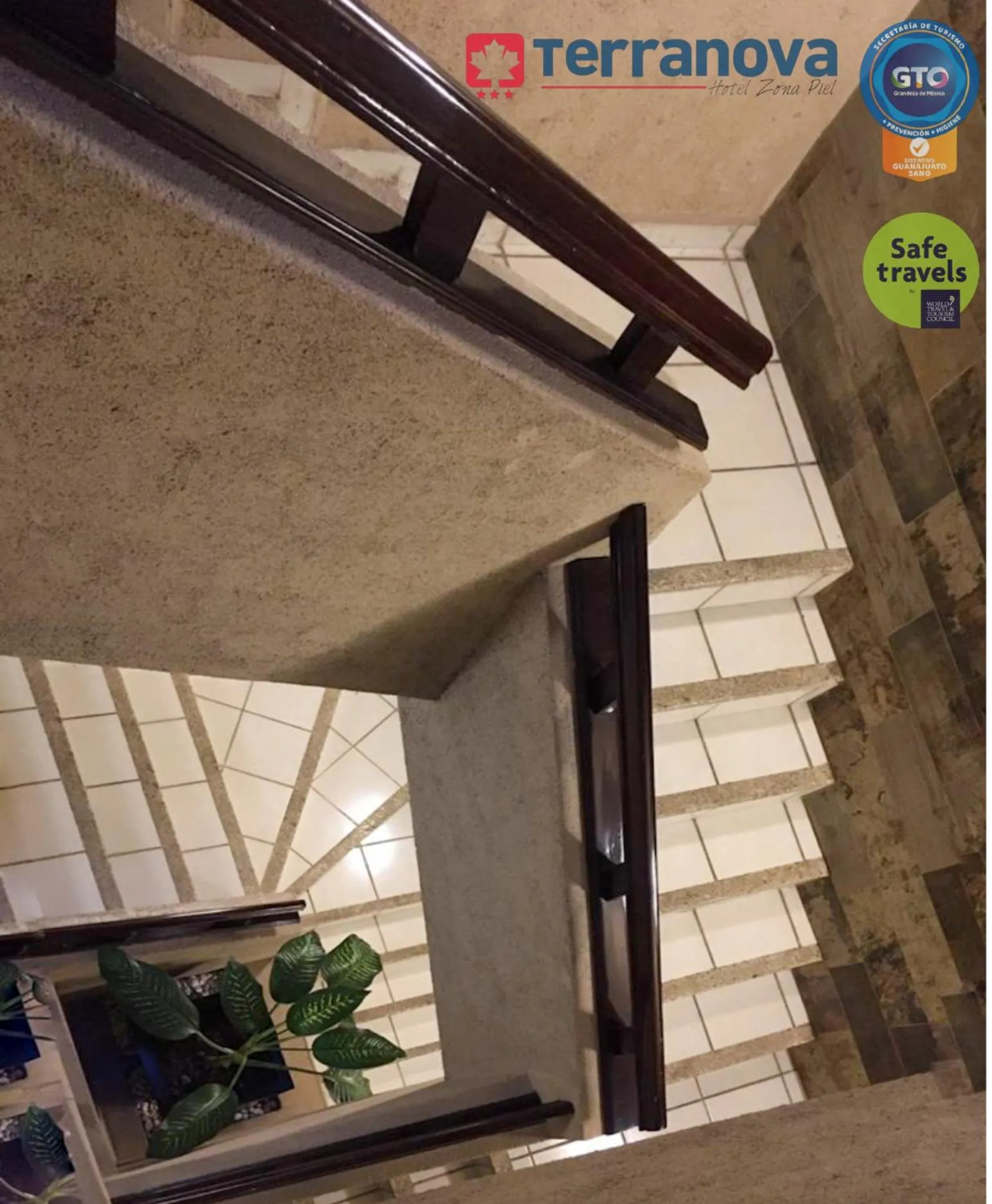 Area and facilities in Hotel Terranova