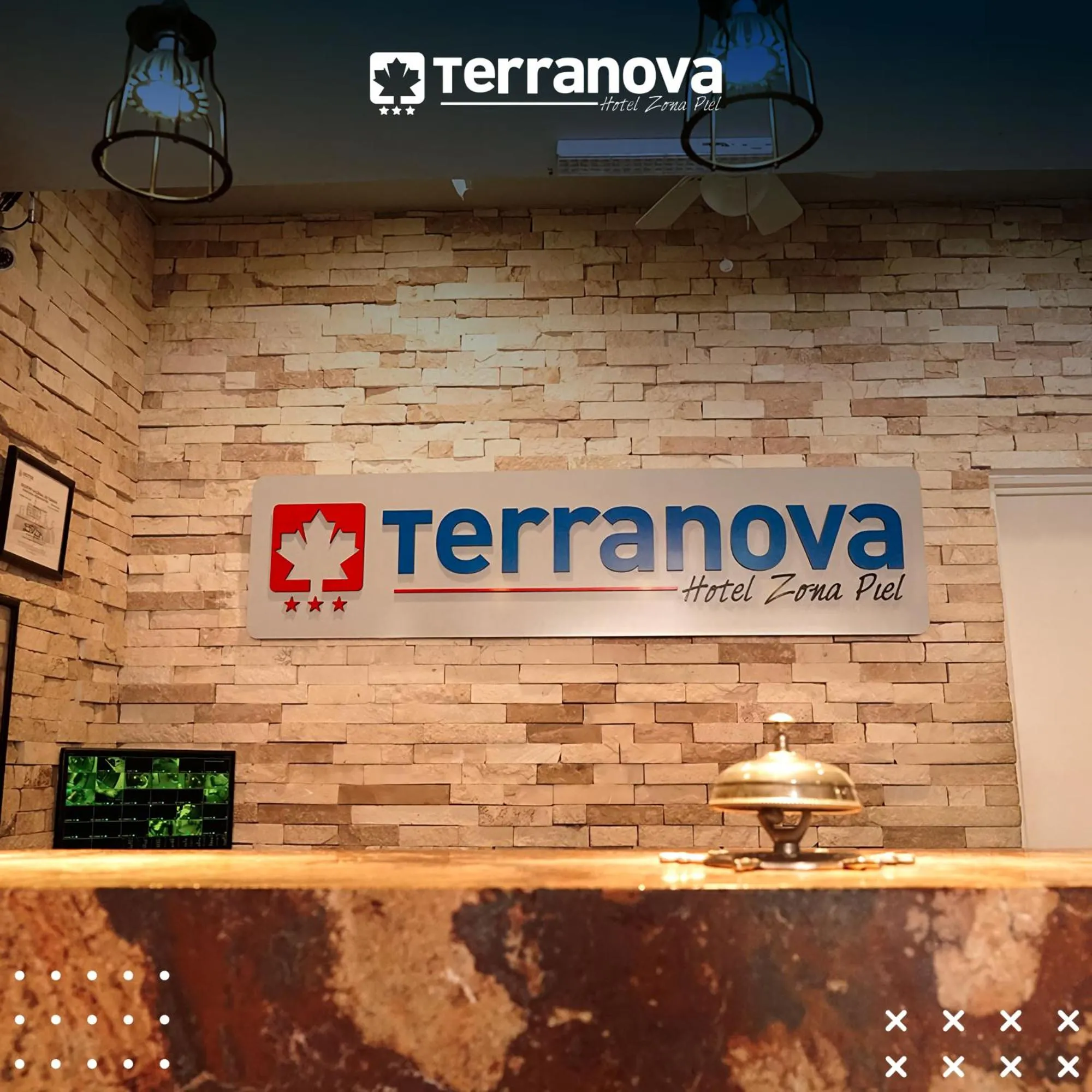 Property building in Hotel Terranova