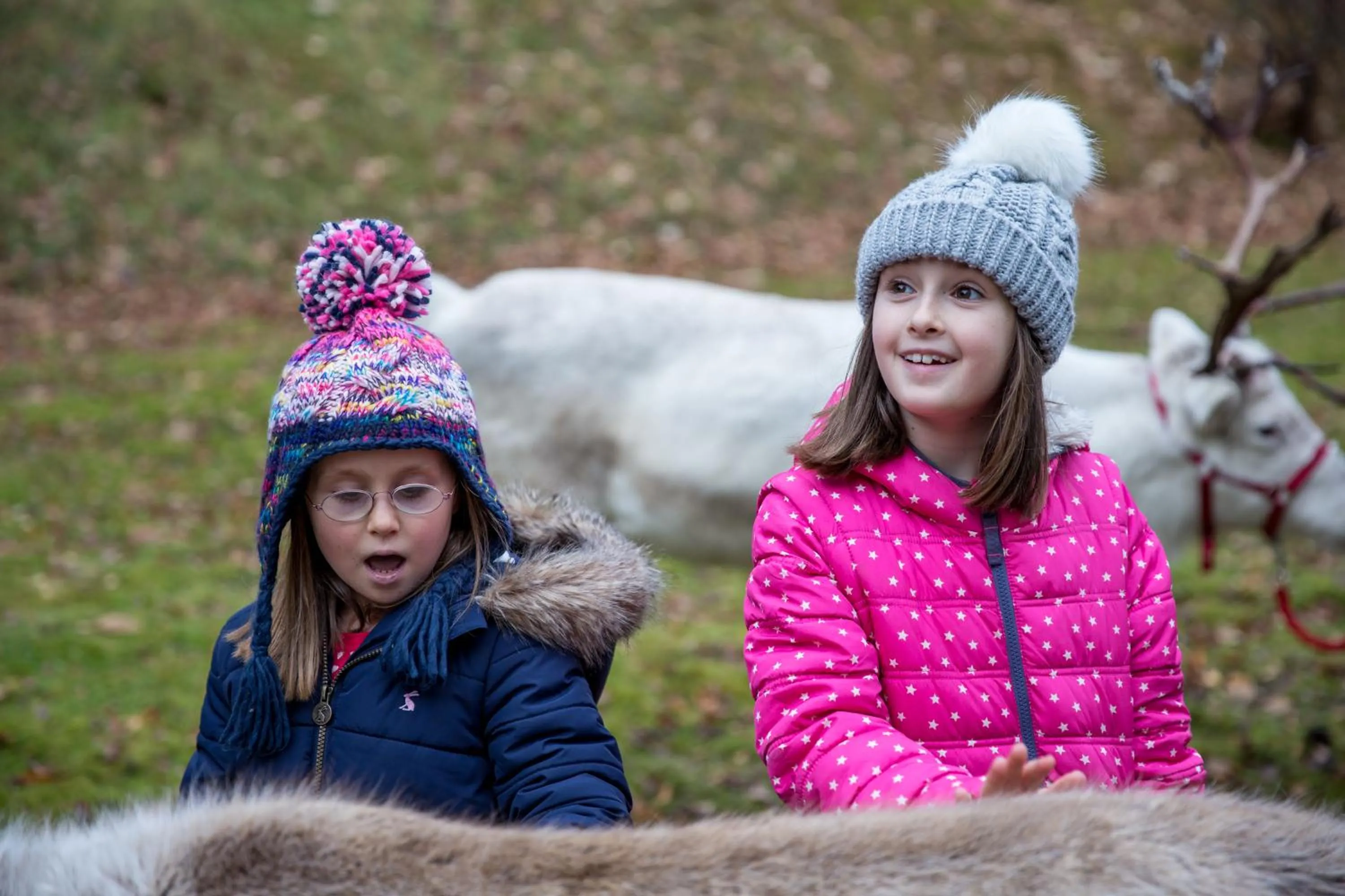 Nearby landmark in Macdonald Aviemore Hotel at Macdonald Aviemore Resort