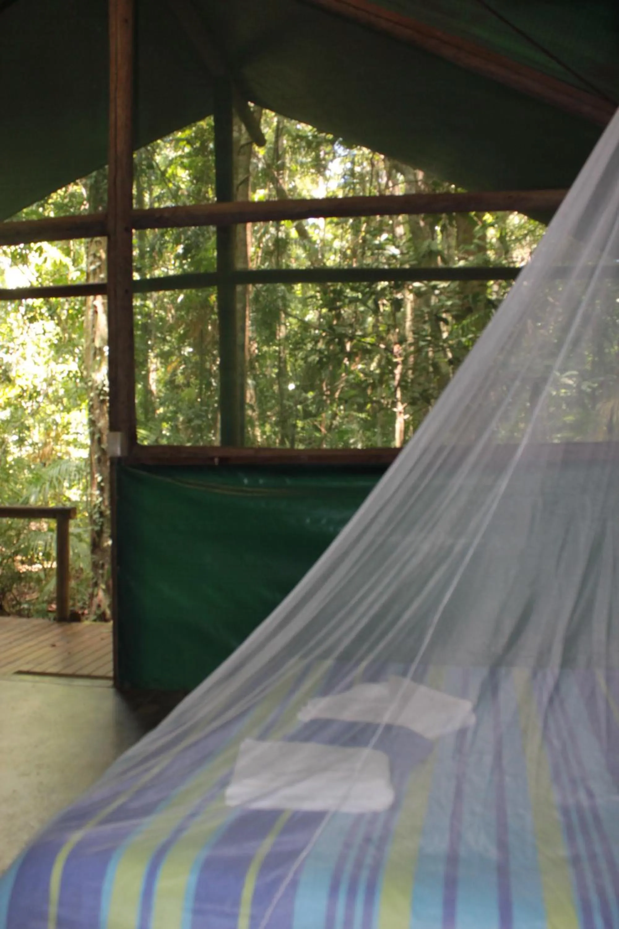View (from property/room) in Daintree Crocodylus