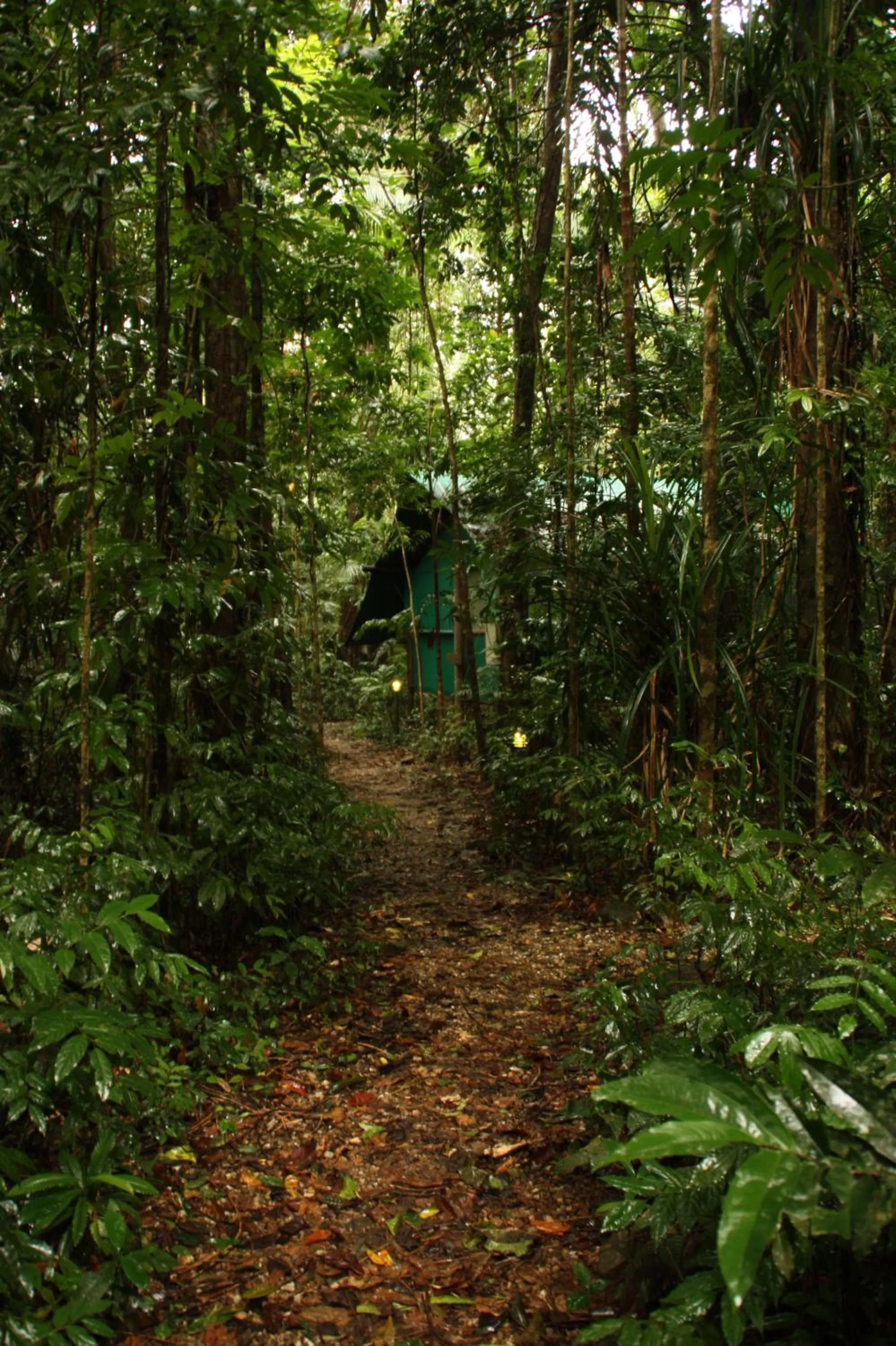 Facade/entrance in Daintree Crocodylus
