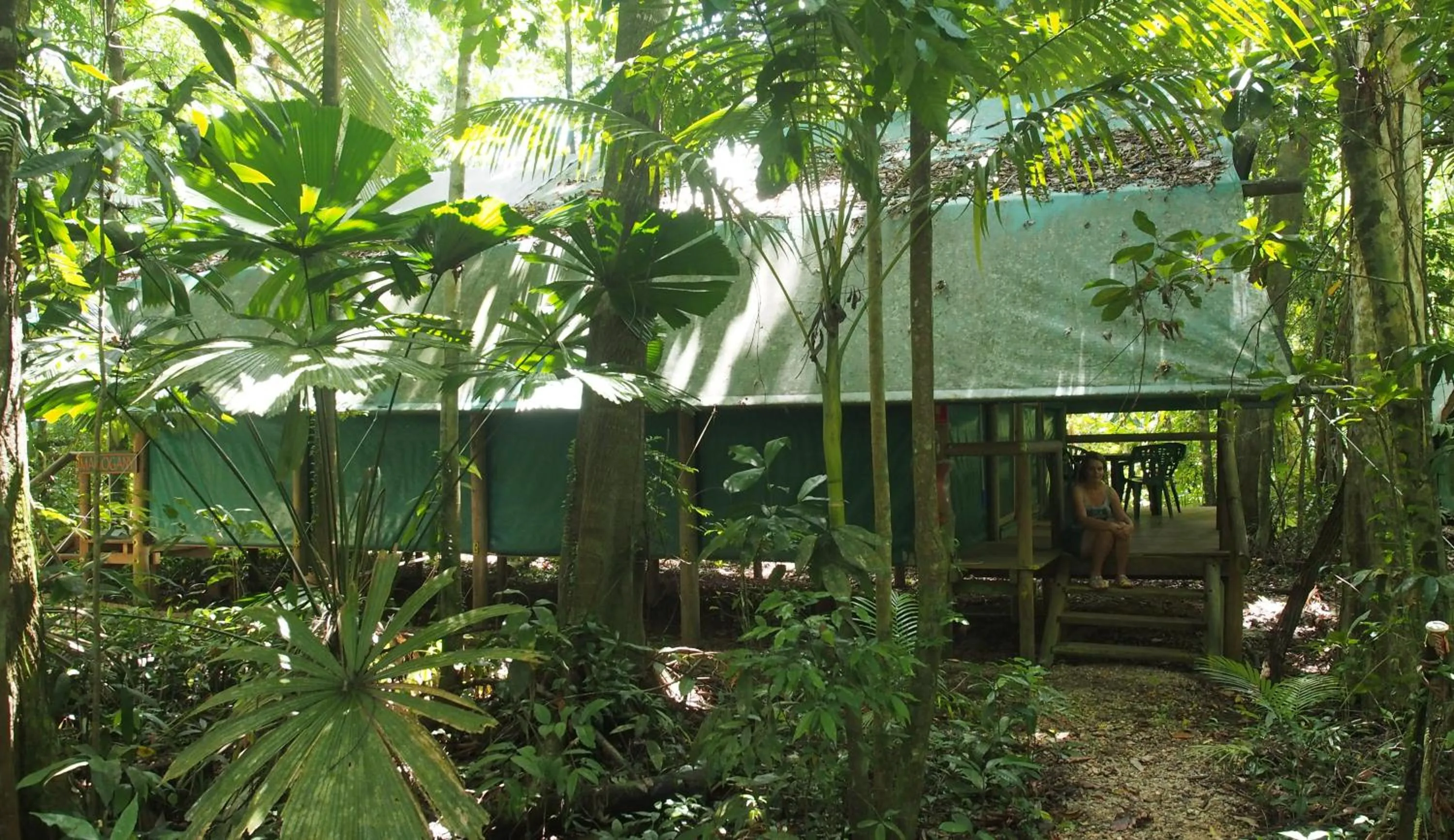 Garden in Daintree Crocodylus