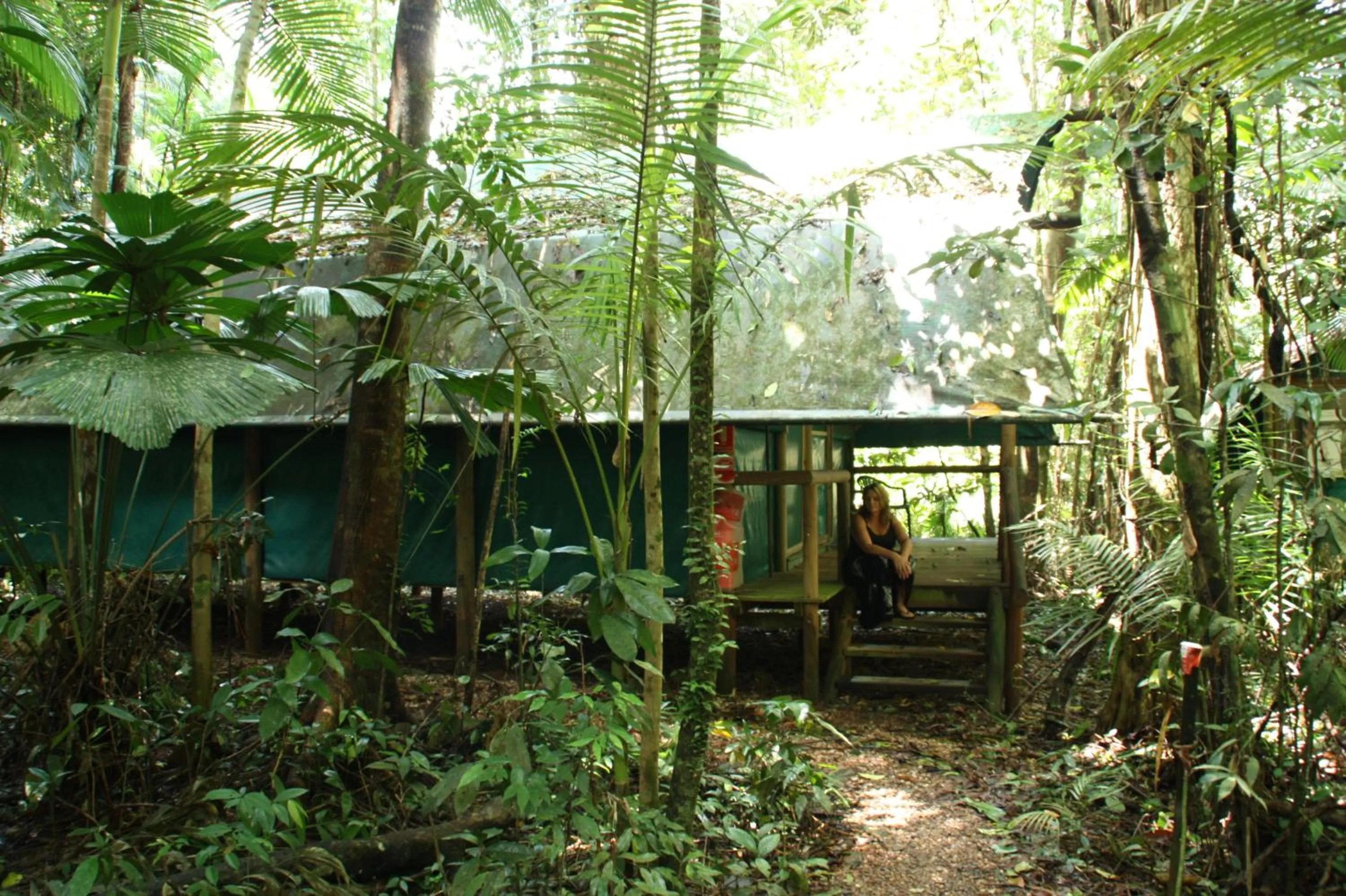 Facade/entrance in Daintree Crocodylus