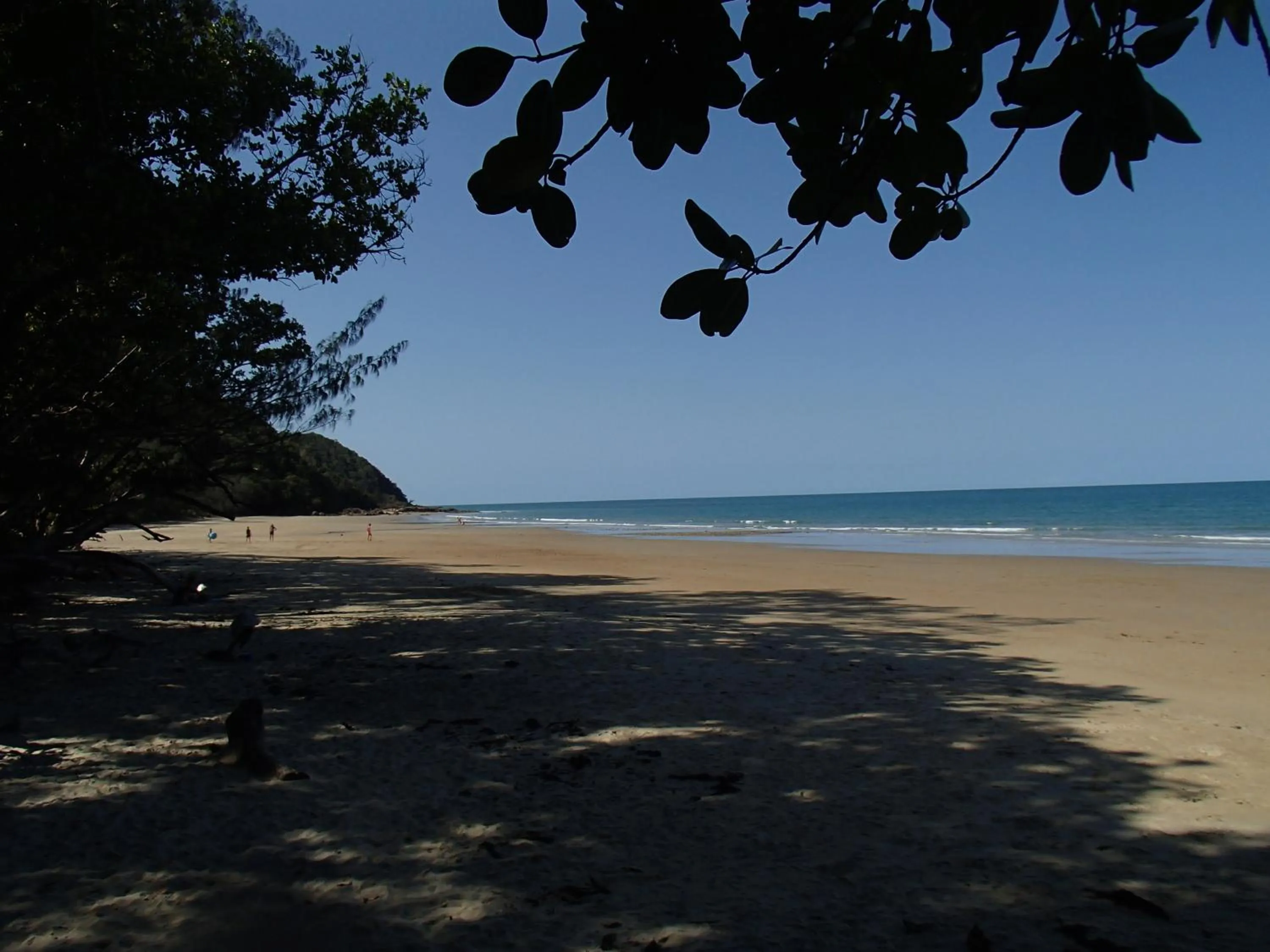 Day in Daintree Crocodylus