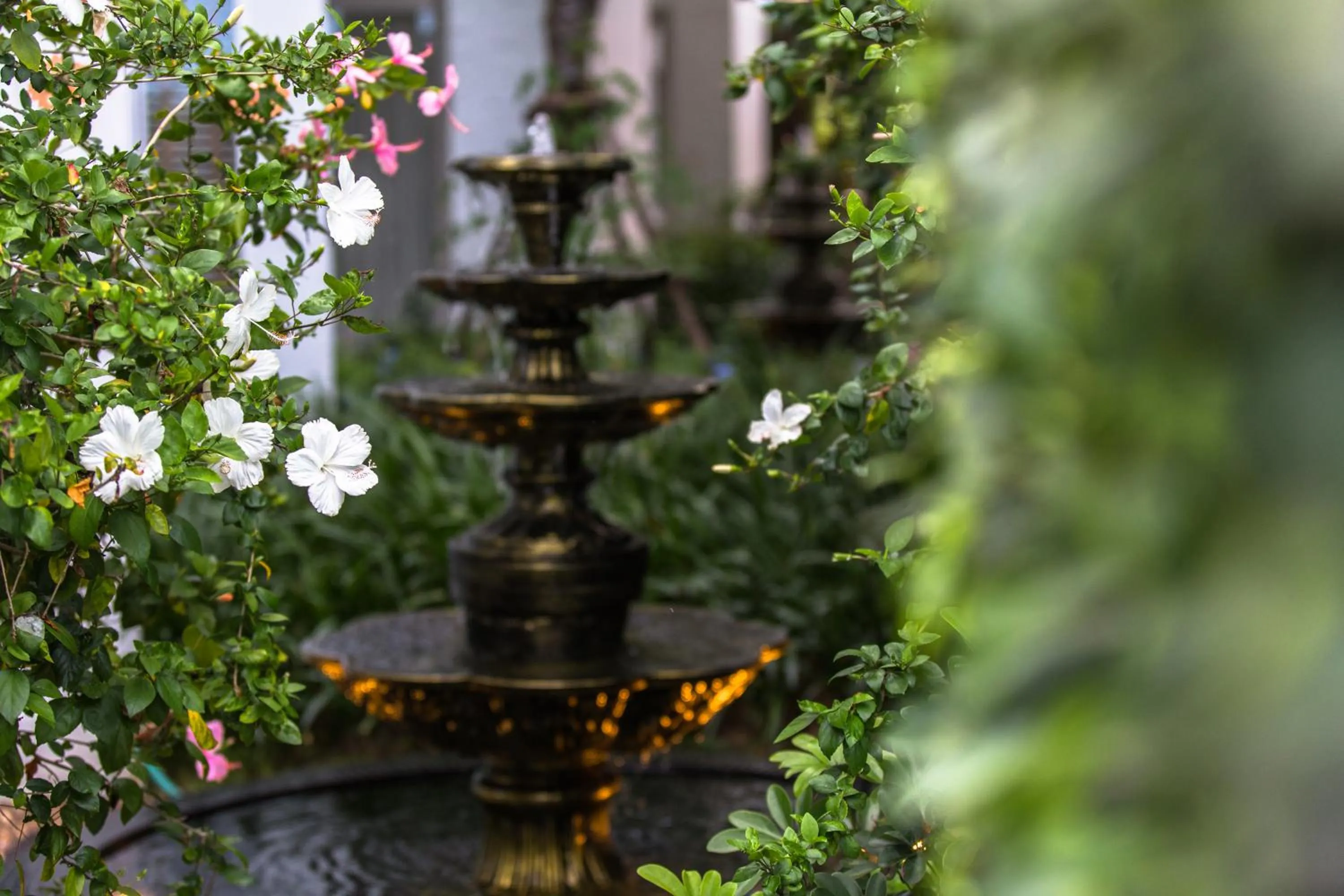 Garden in Verano Beach Villa