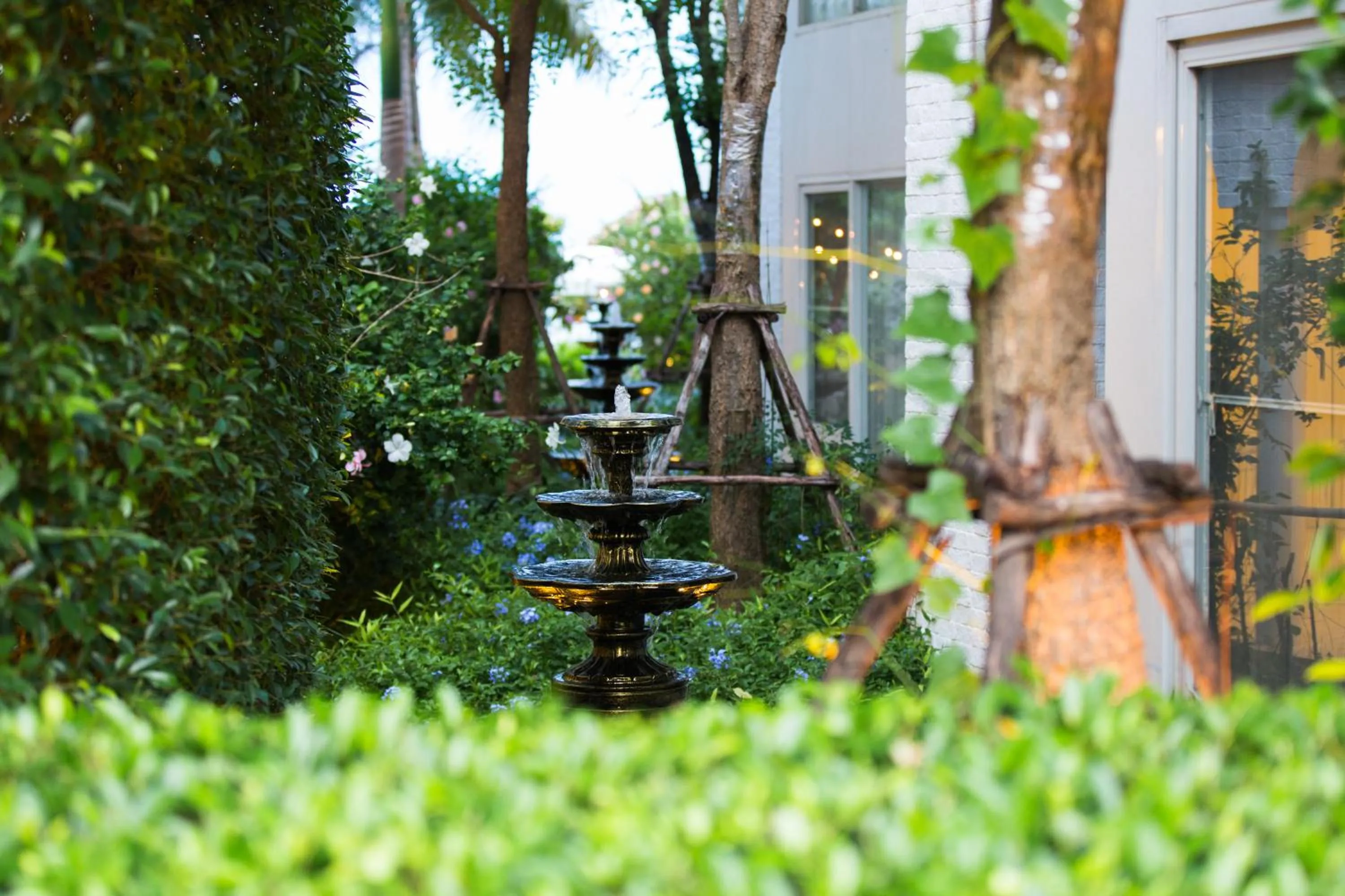 Garden view in Verano Beach Villa