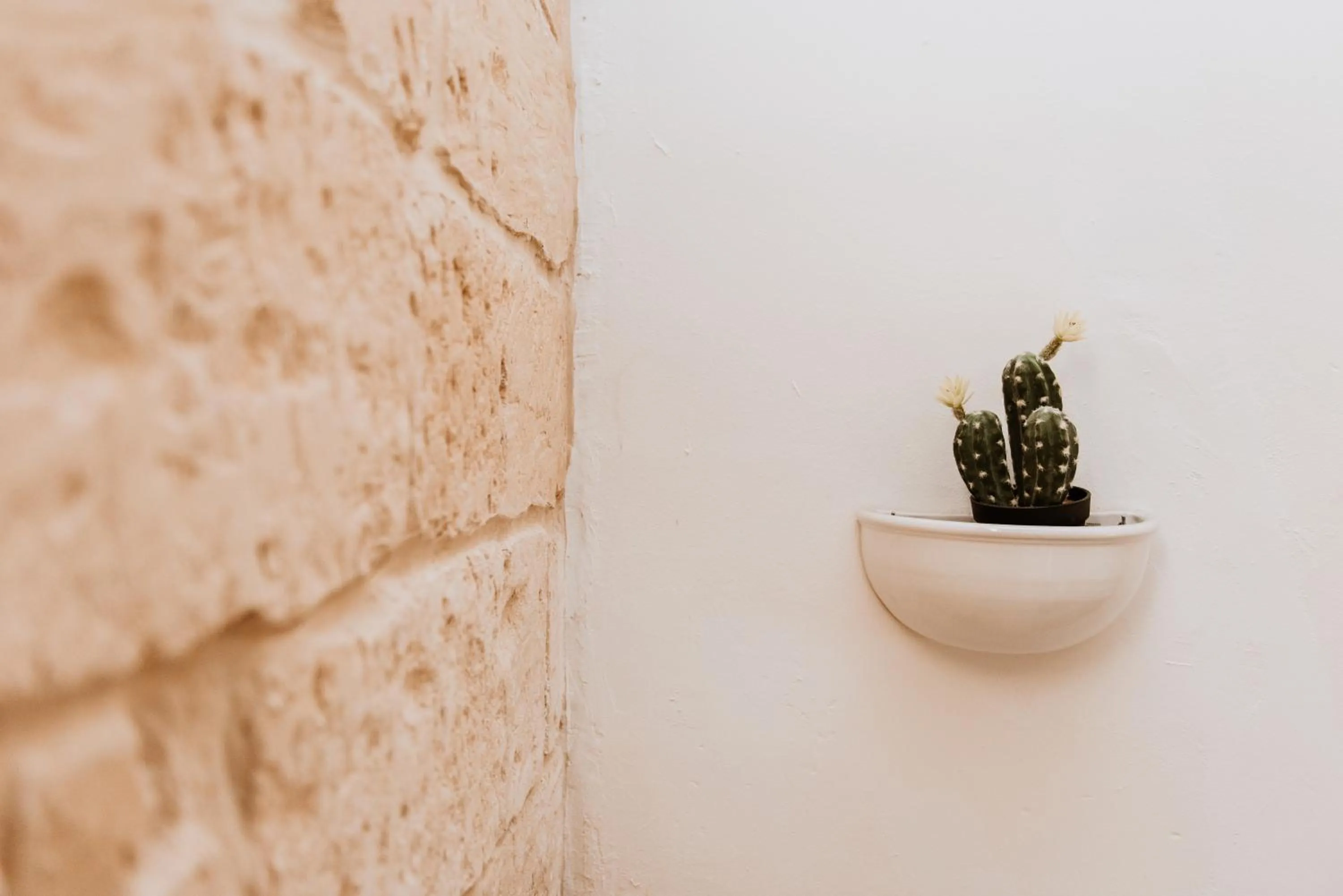 View (from property/room) in AF Suite B&B Lecce