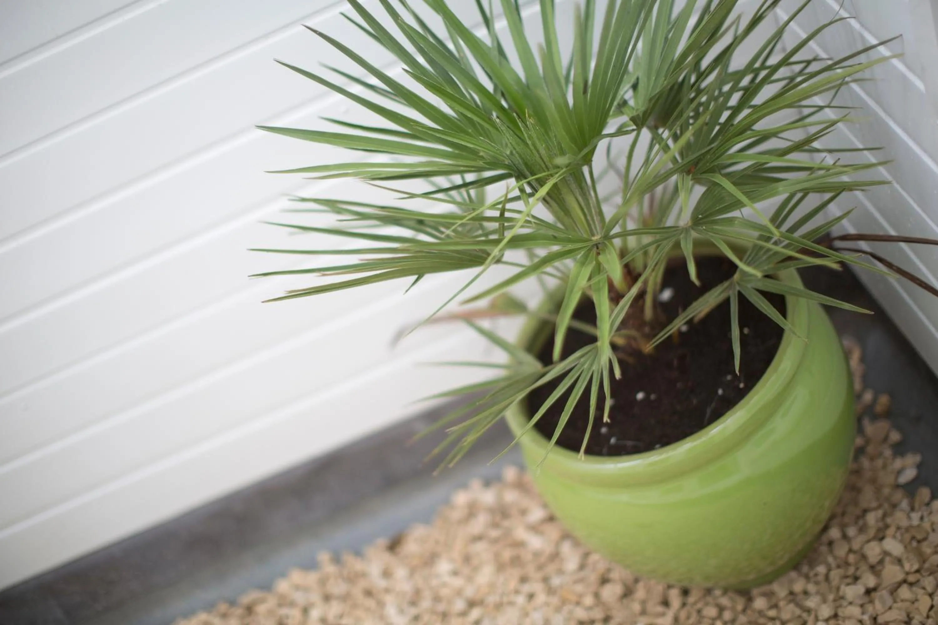 Decorative detail in Grays Boutique B&B