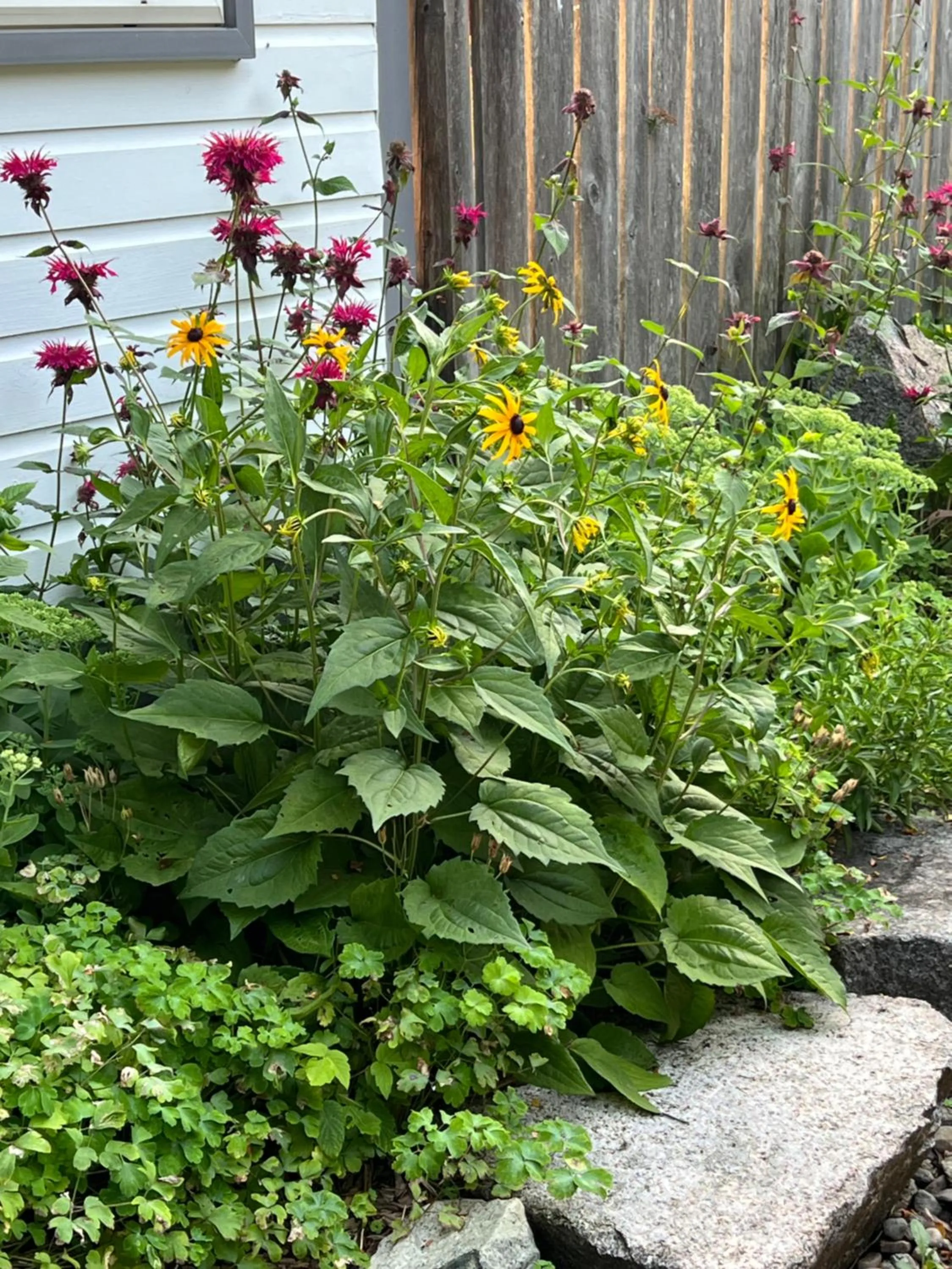 Les Trois Erables Boutique Inn