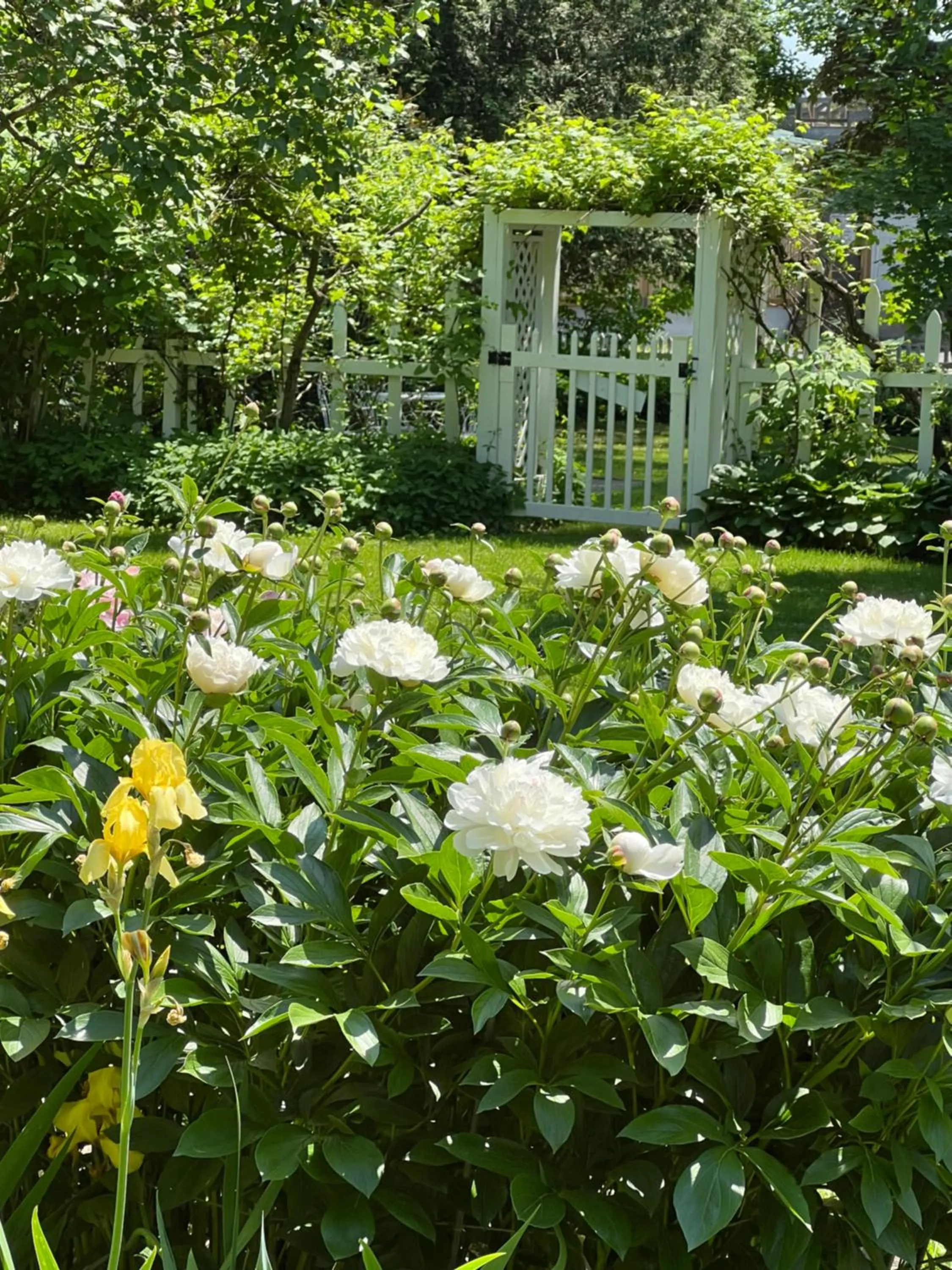 Les Trois Erables Boutique Inn