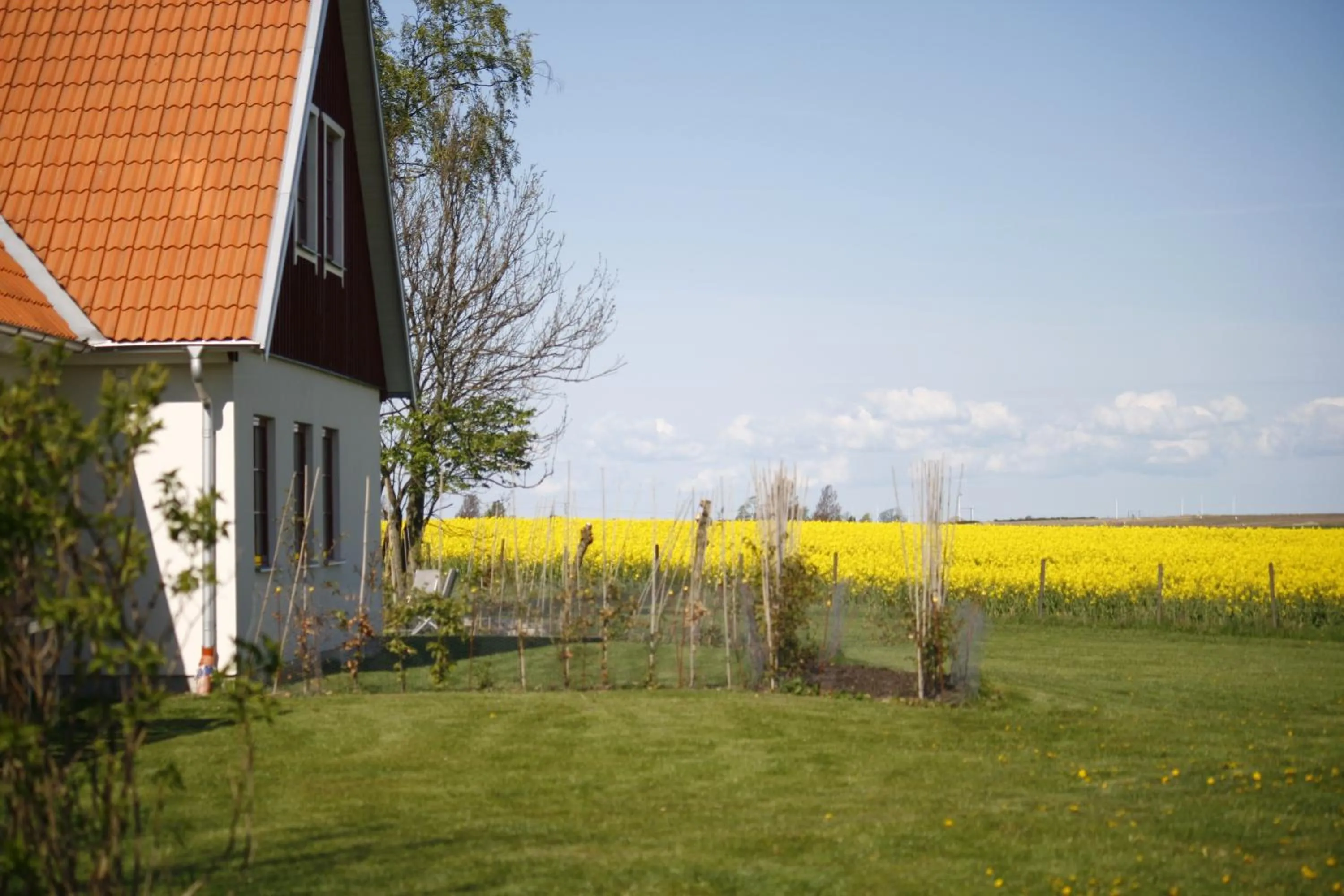 Property building in Hobykrok B&B