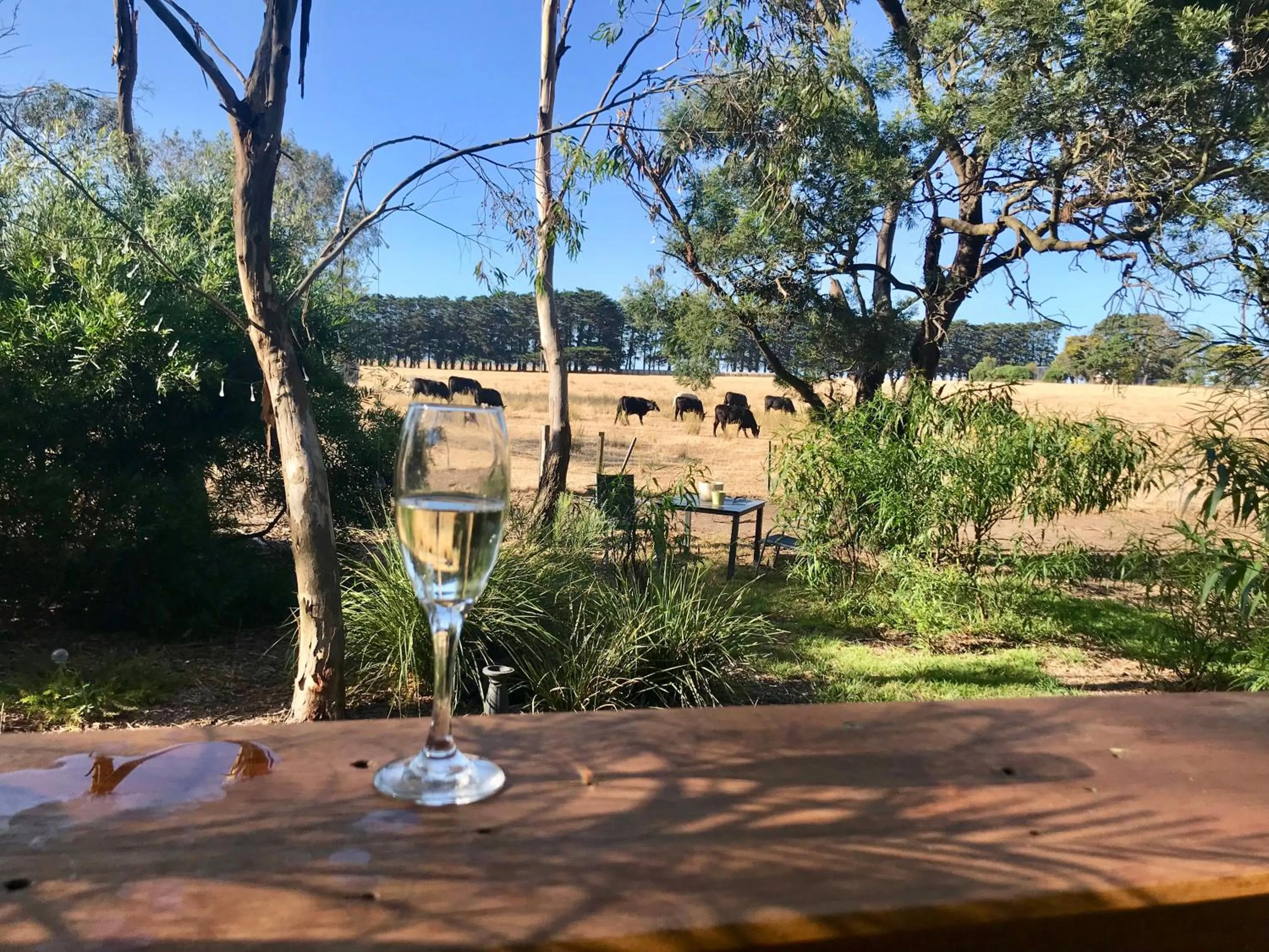 Day in The Nature Resort Villas