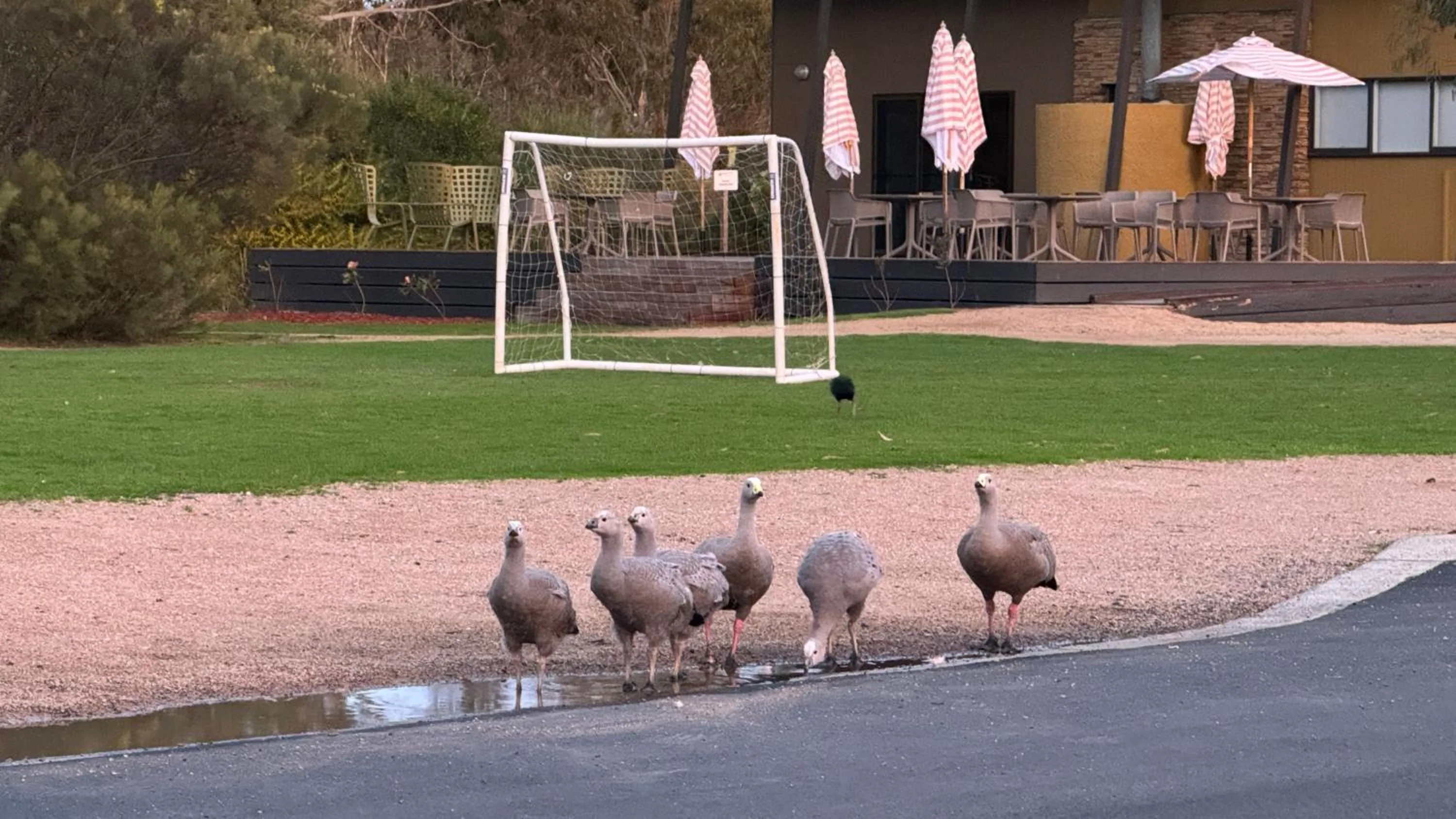 Quiet street view in The Nature Resort Villas