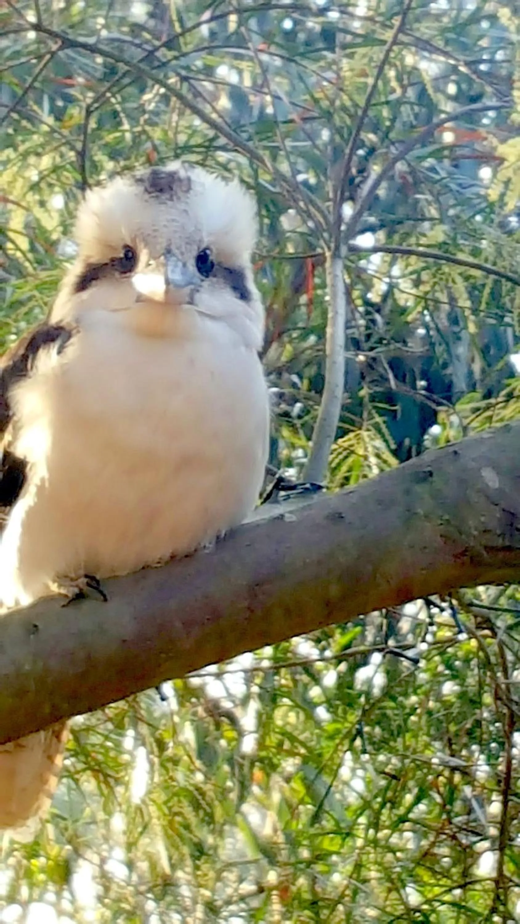 Property building in The Nature Resort Villas