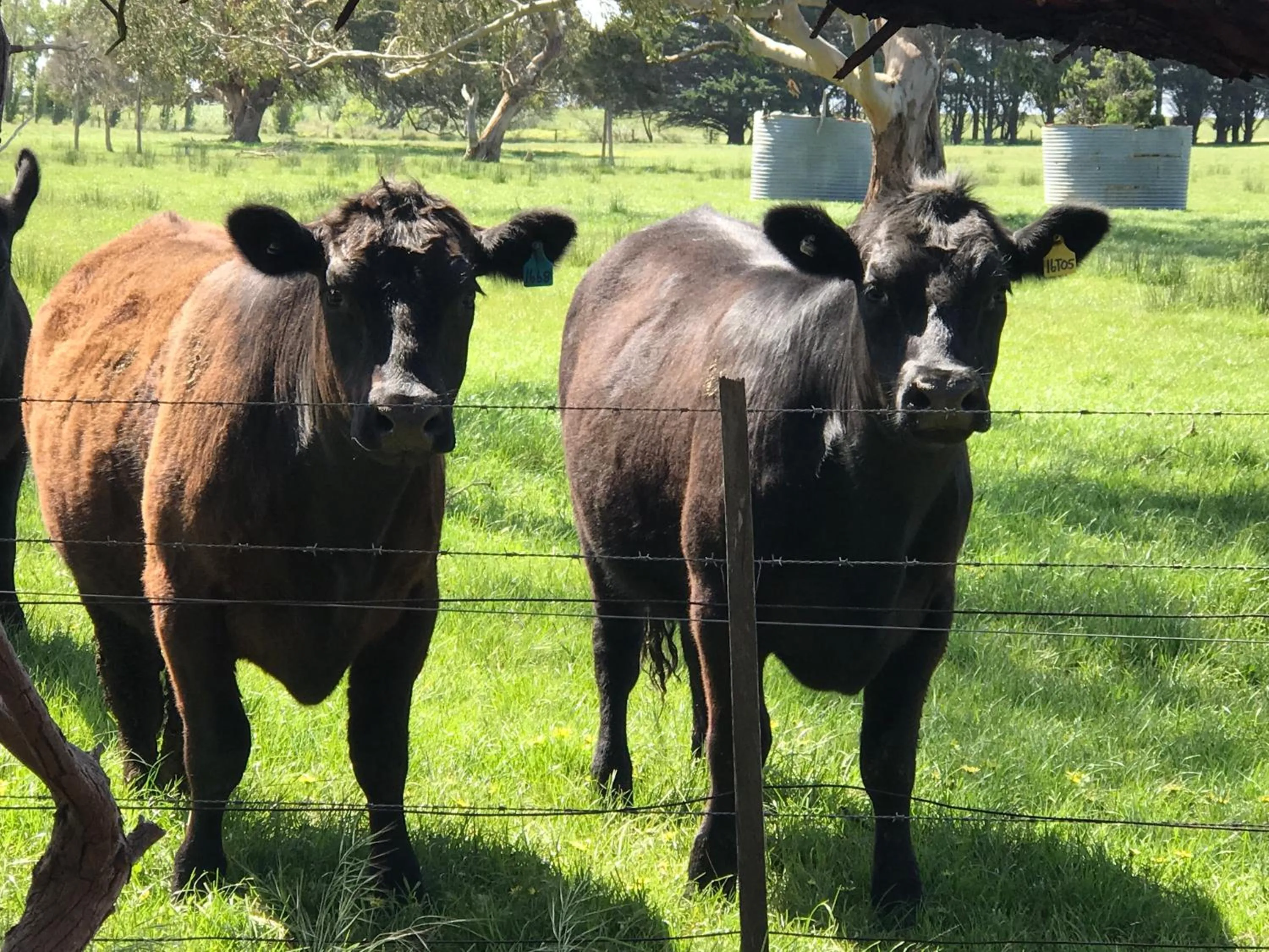 Patio in The Nature Resort Villas