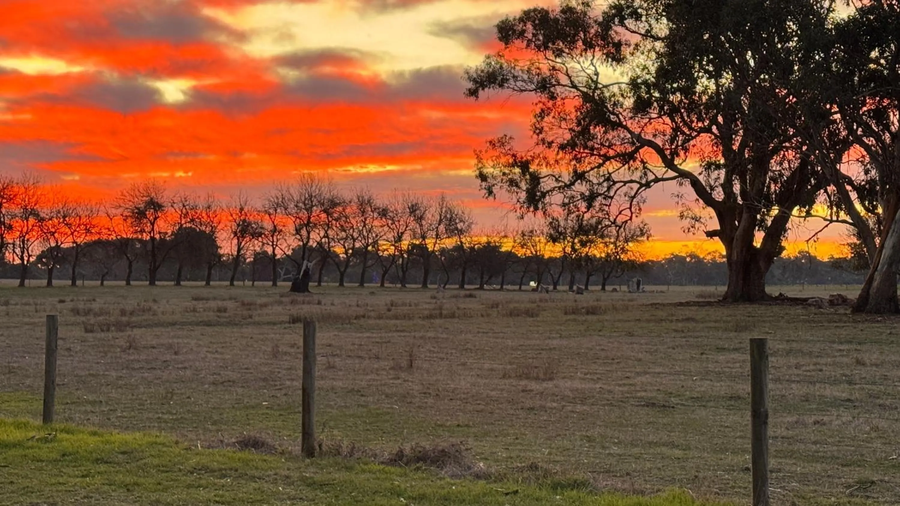 View (from property/room) in The Nature Resort Villas