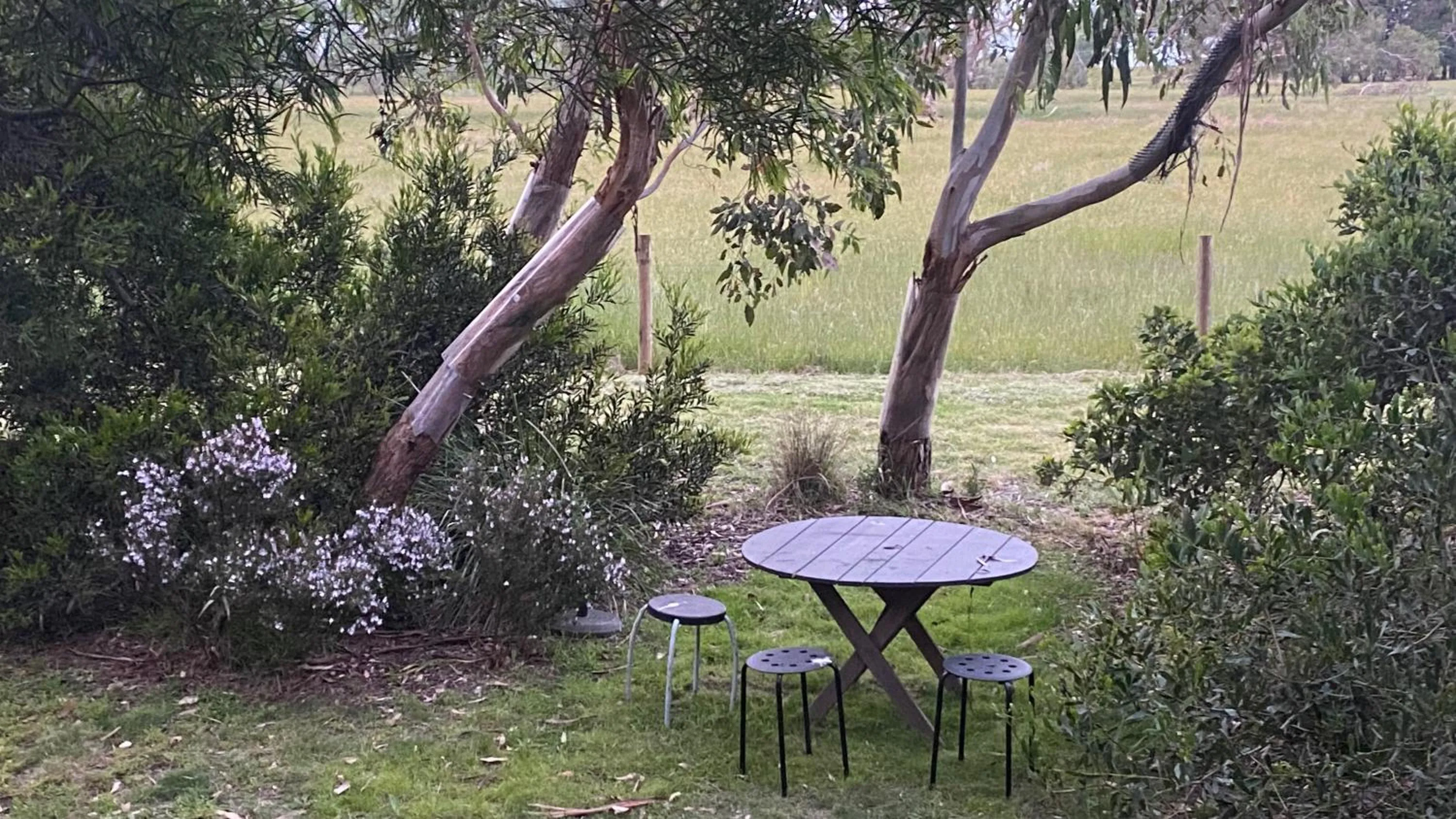 Natural landscape in The Nature Resort Villas