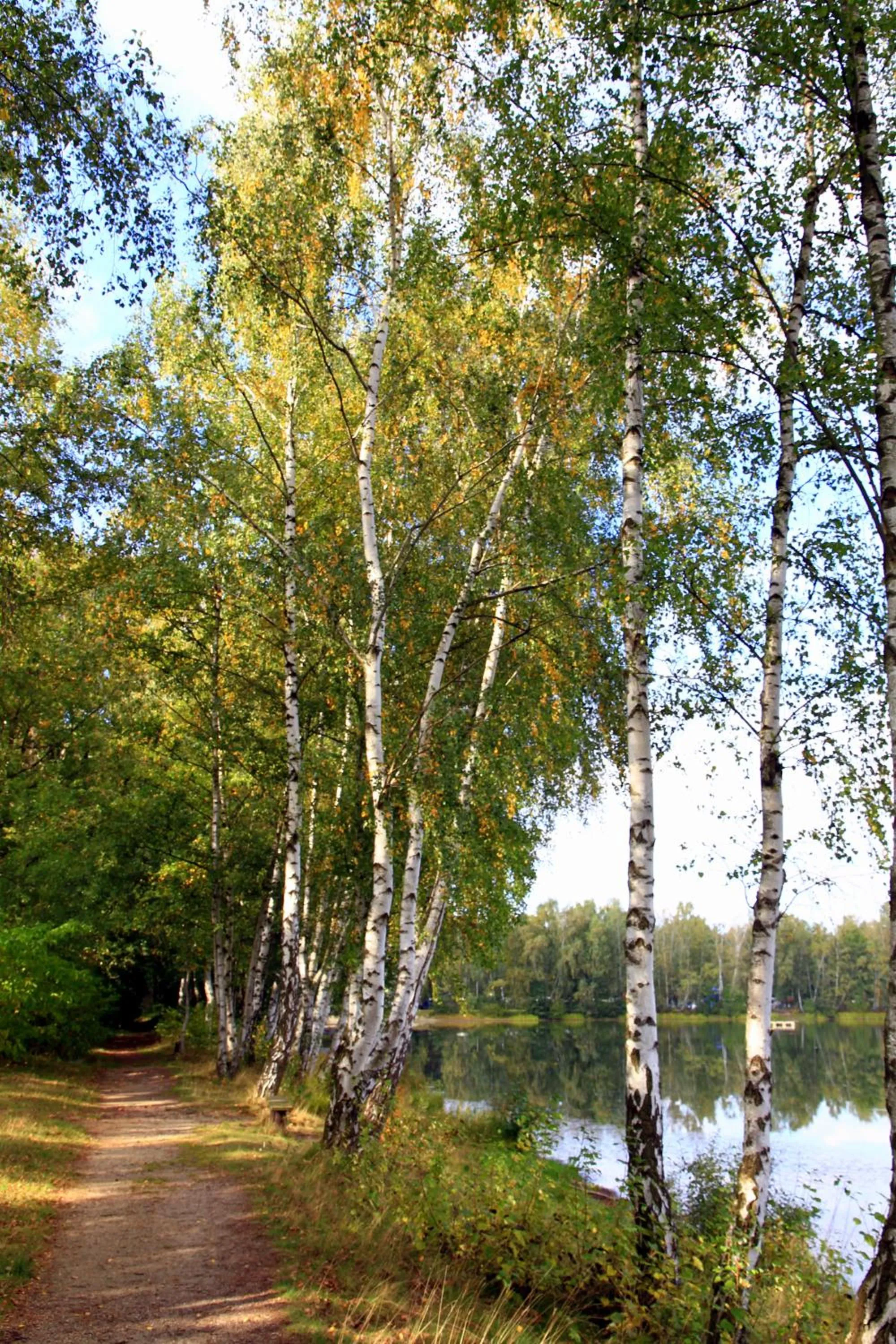Area and facilities in Hotel am Springhorstsee