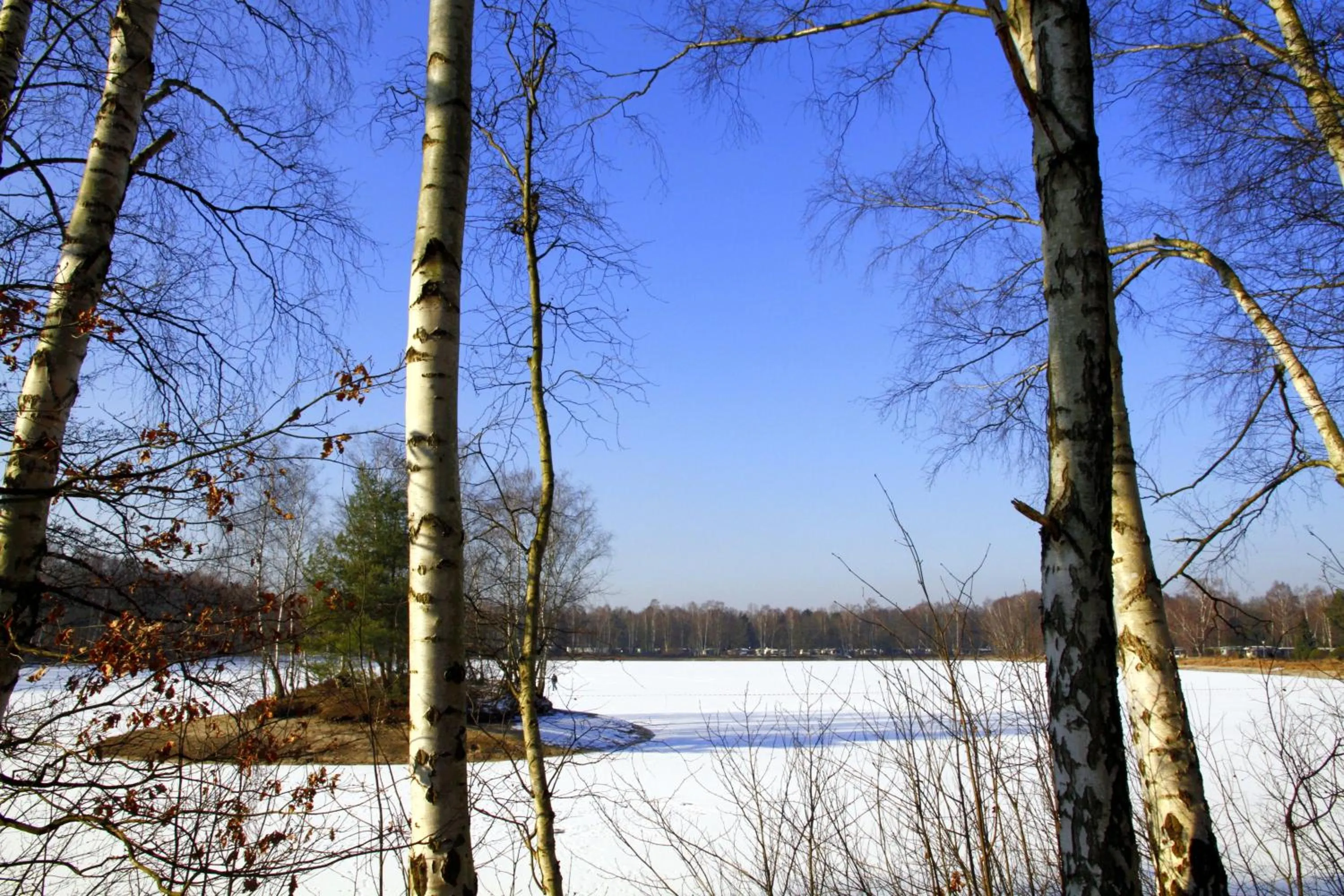 Winter in Hotel am Springhorstsee