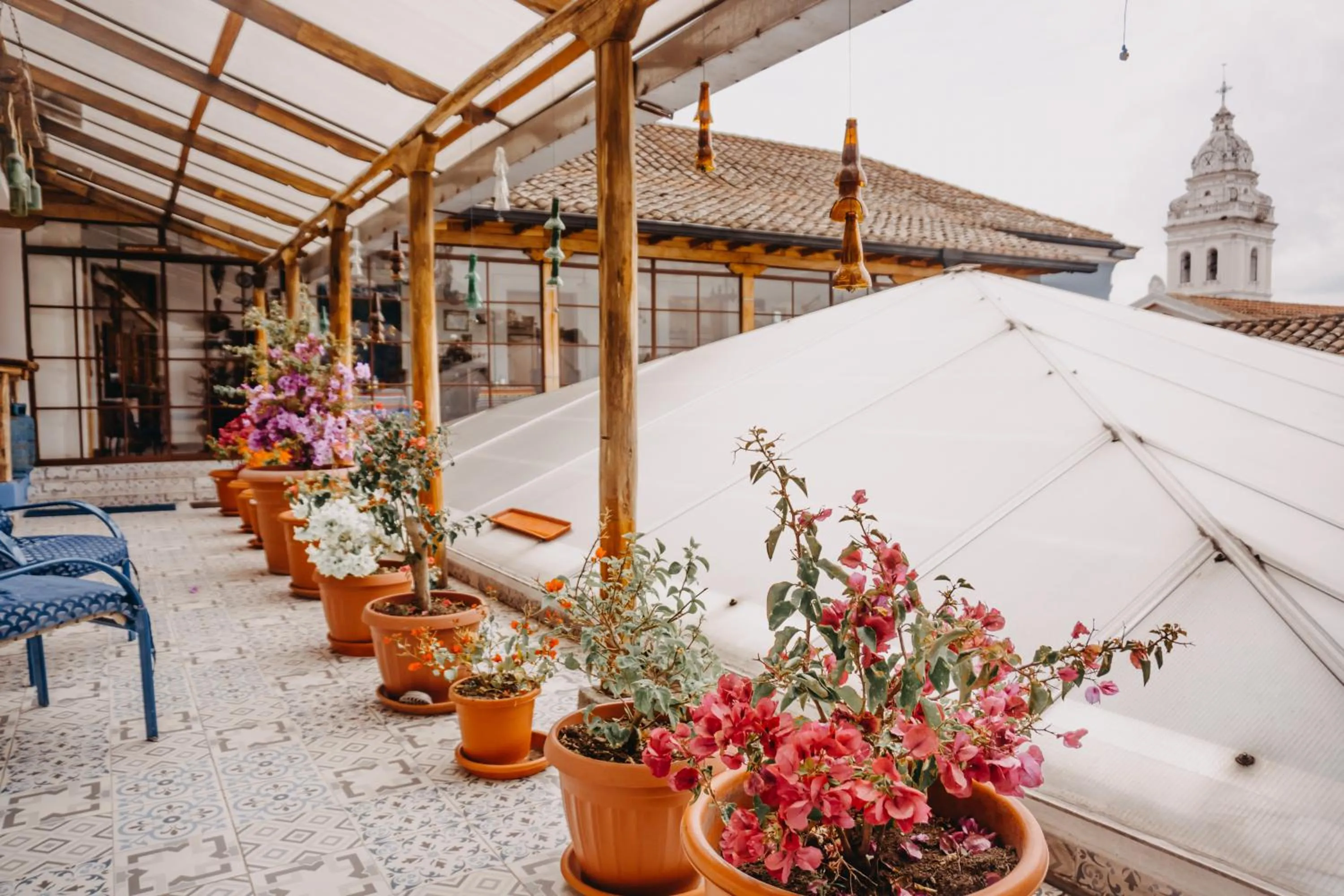 Patio in Hotel Casa Alquimia