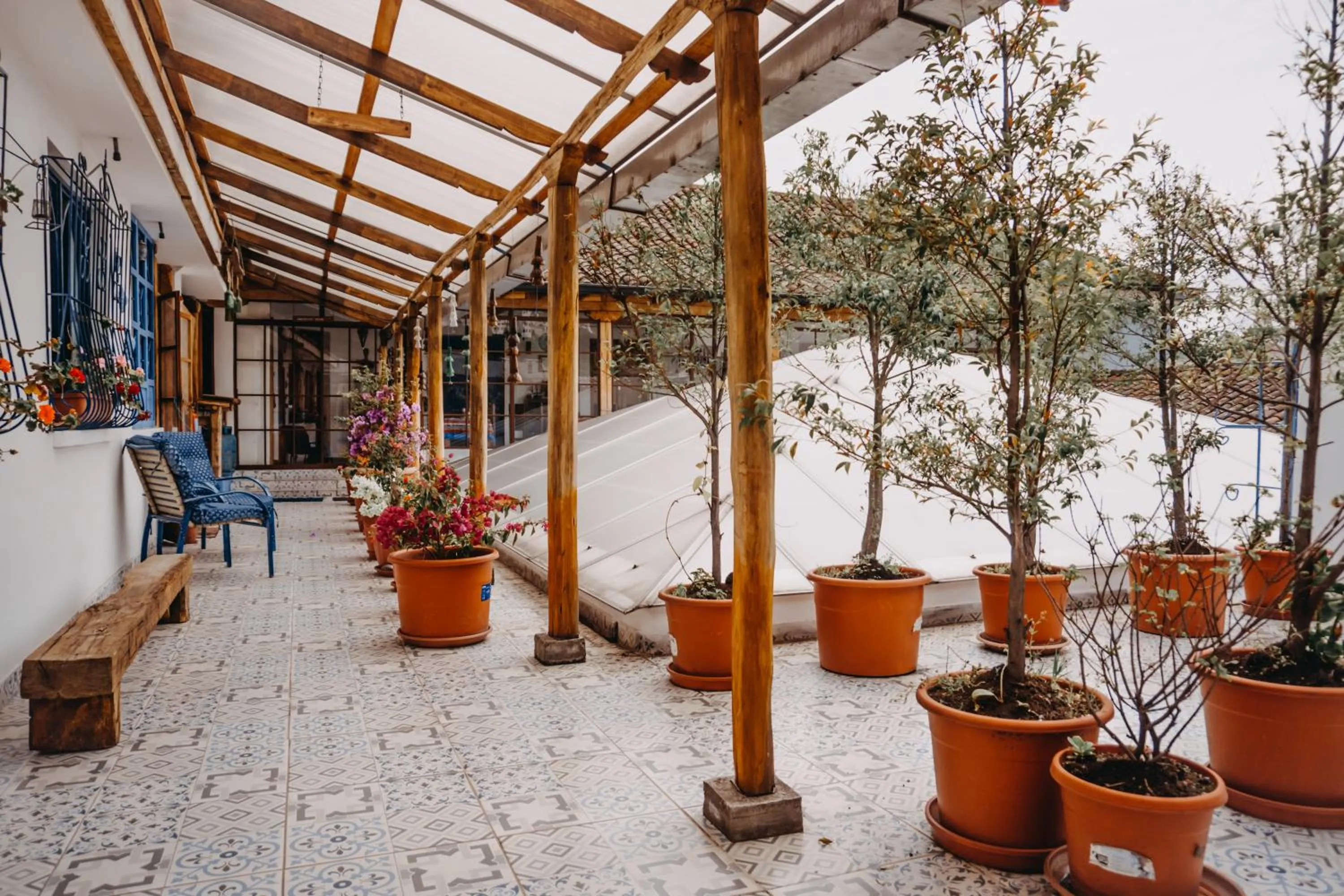 Patio in Hotel Casa Alquimia
