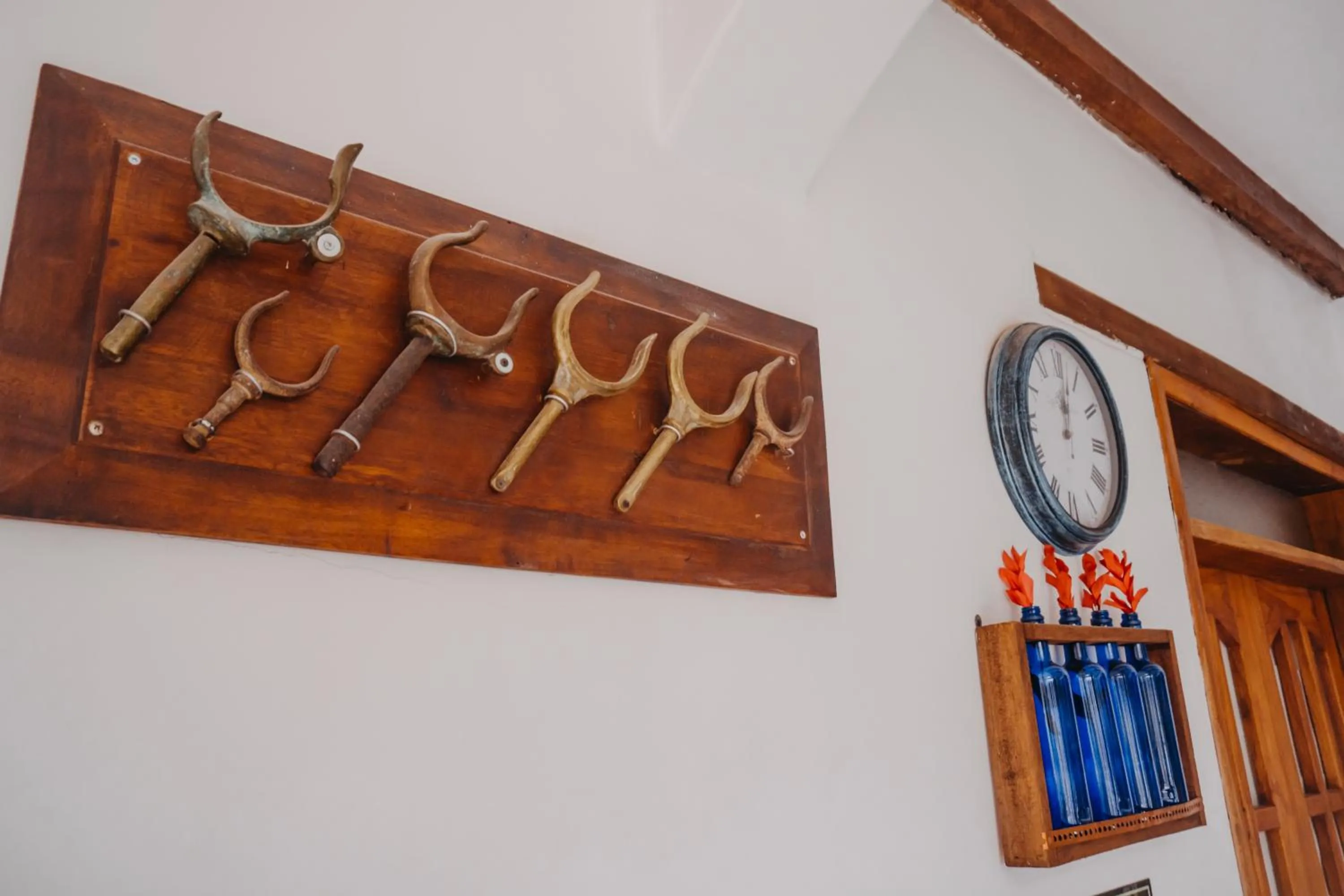 Property building in Hotel Casa Alquimia