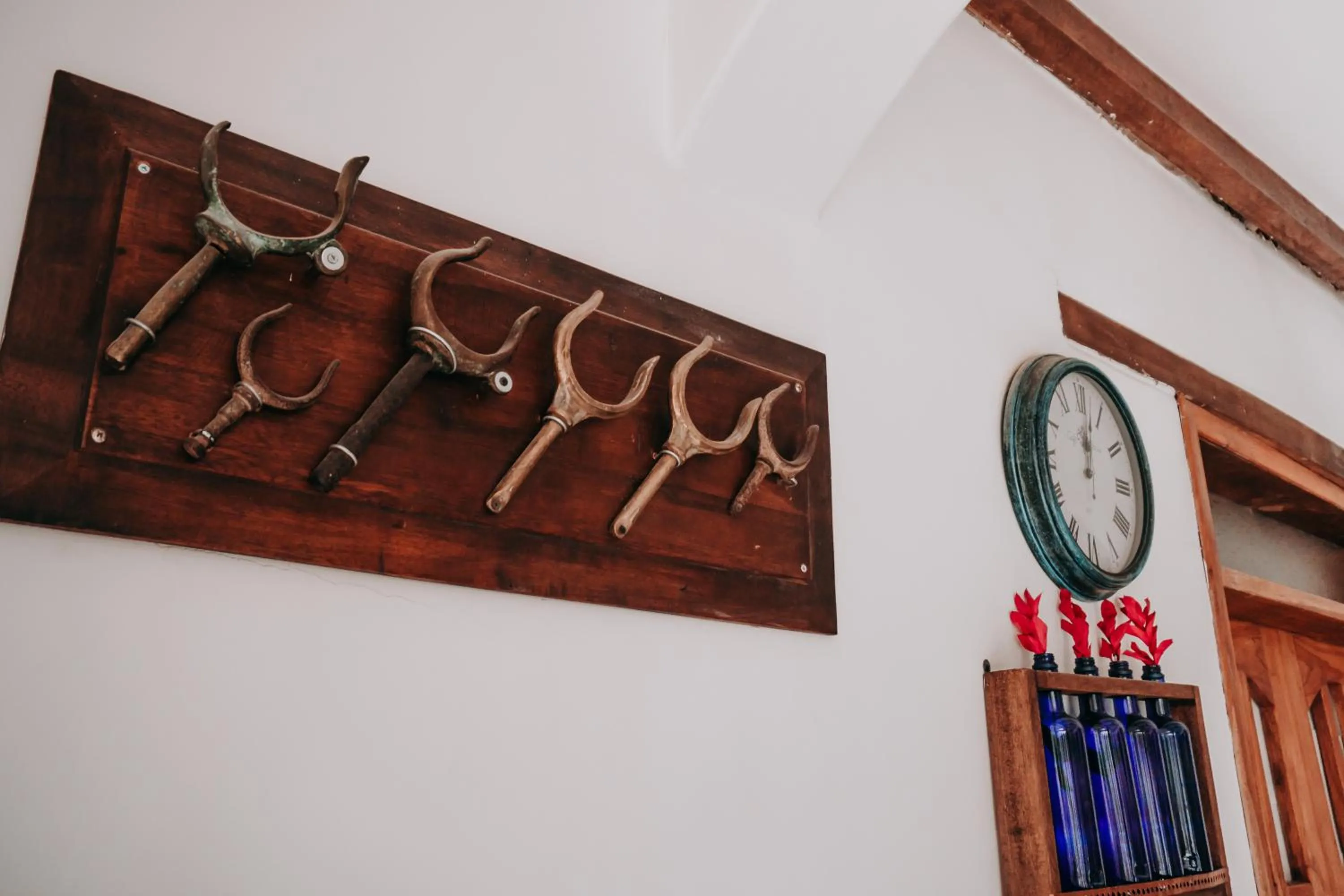 Property logo or sign in Hotel Casa Alquimia