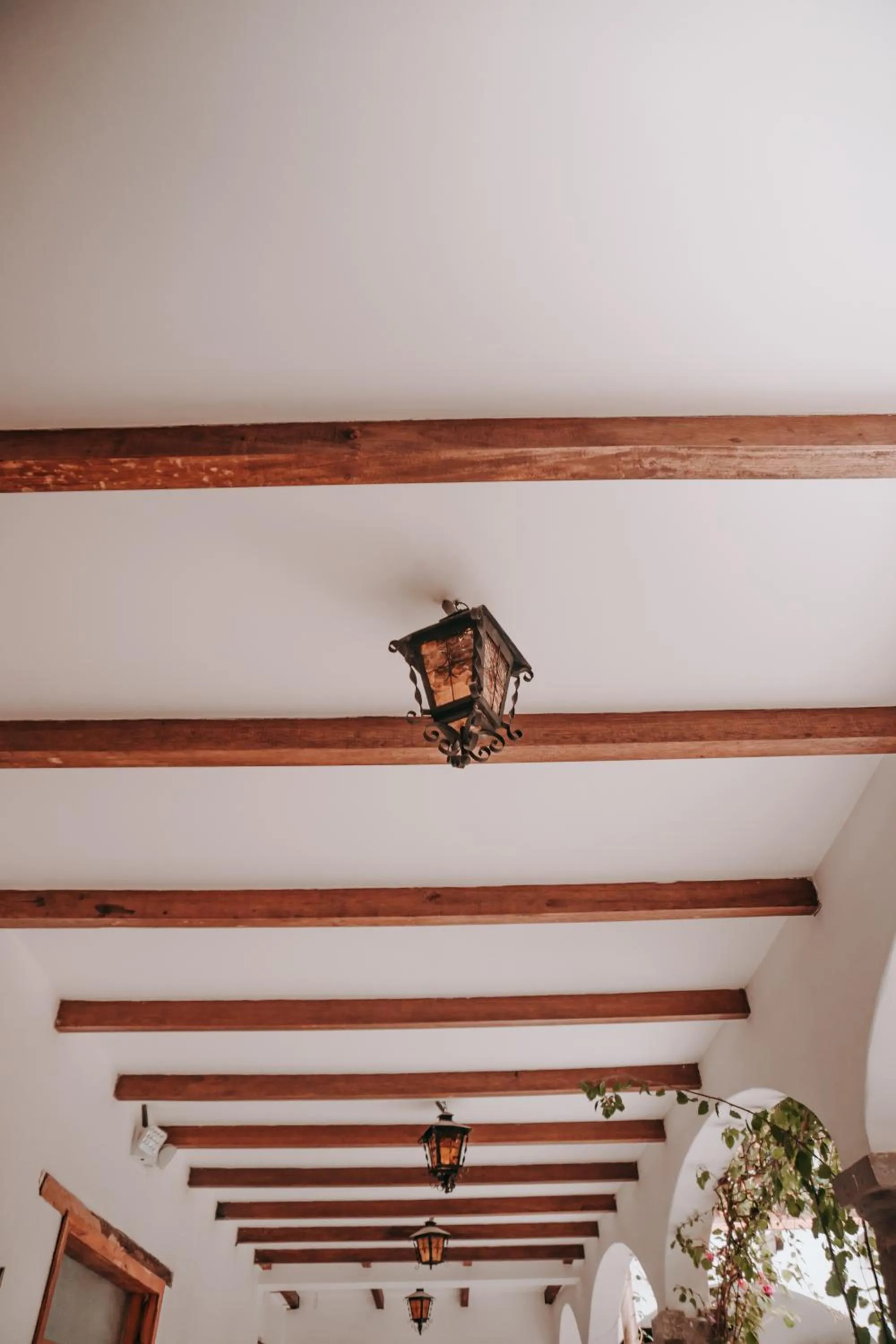Decorative detail in Hotel Casa Alquimia