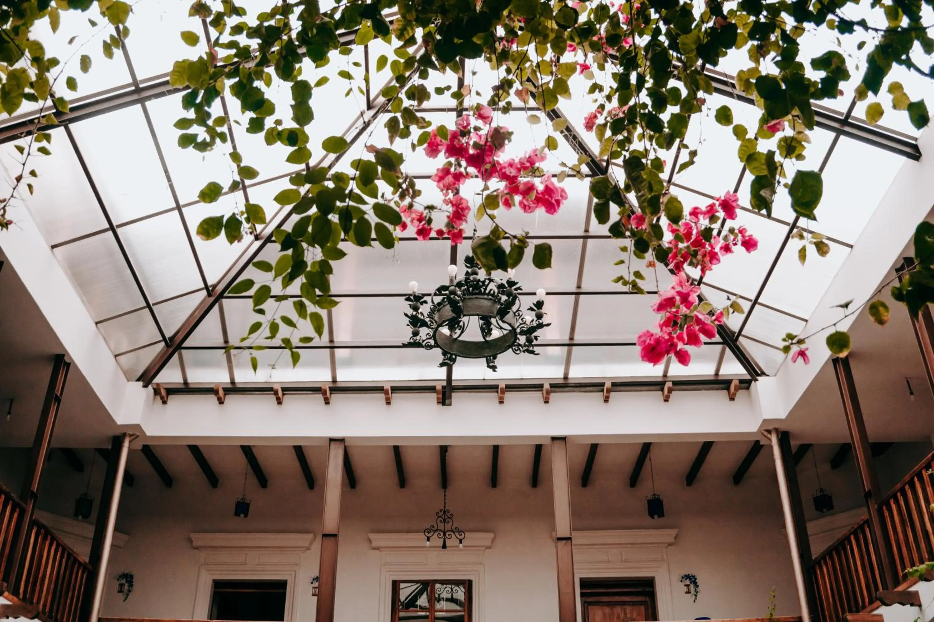 Day in Hotel Casa Alquimia