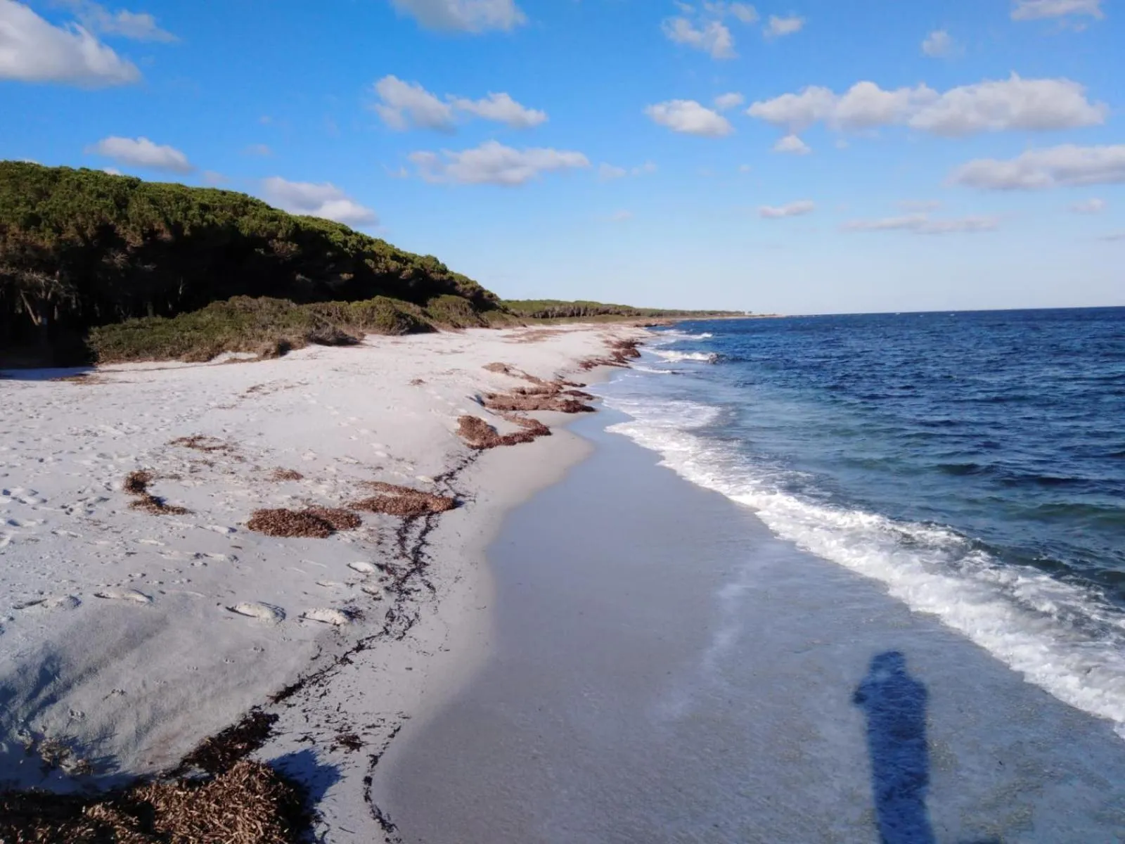 Beach in Residence La Pineta