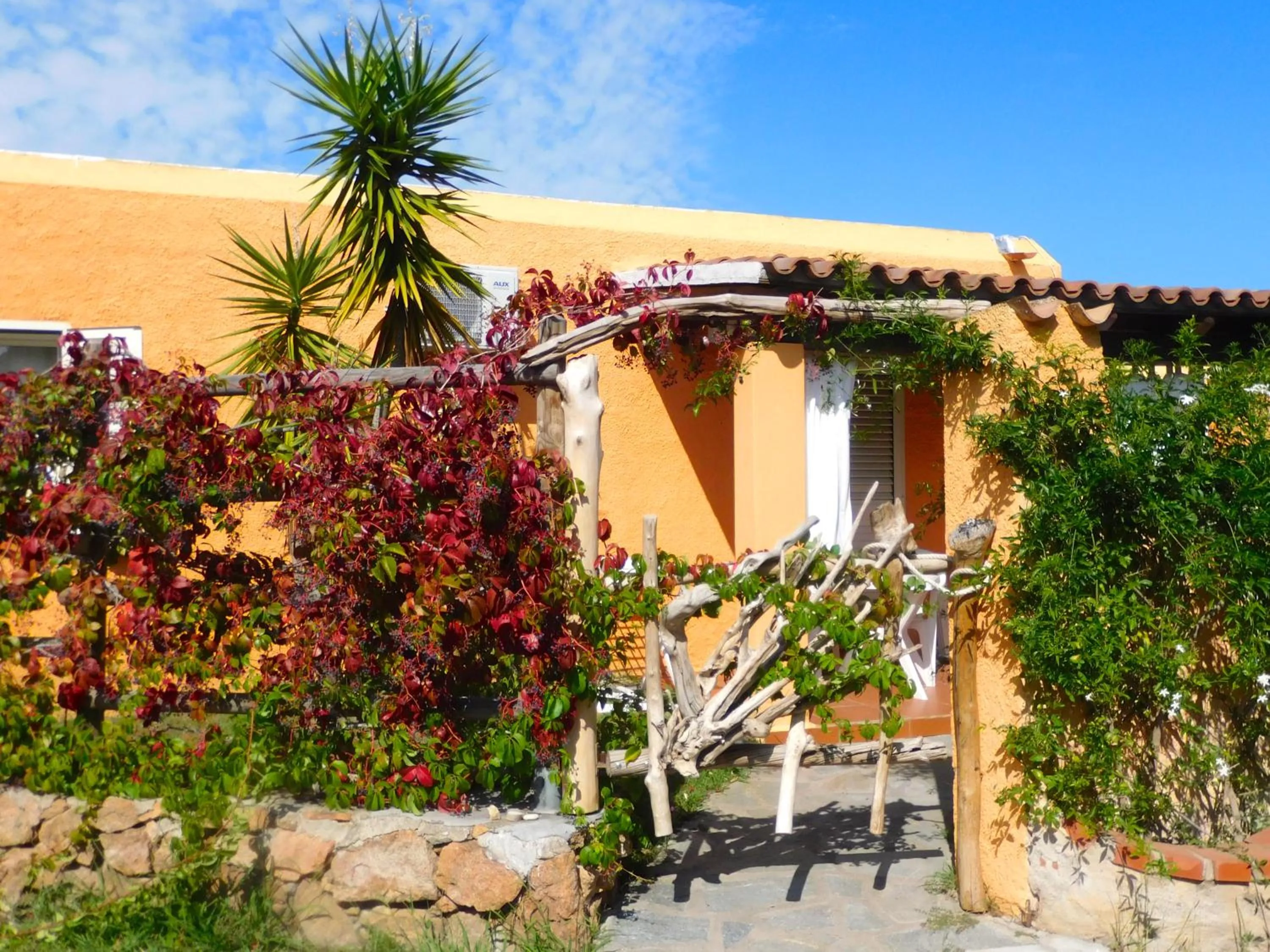 View (from property/room) in Residence La Pineta